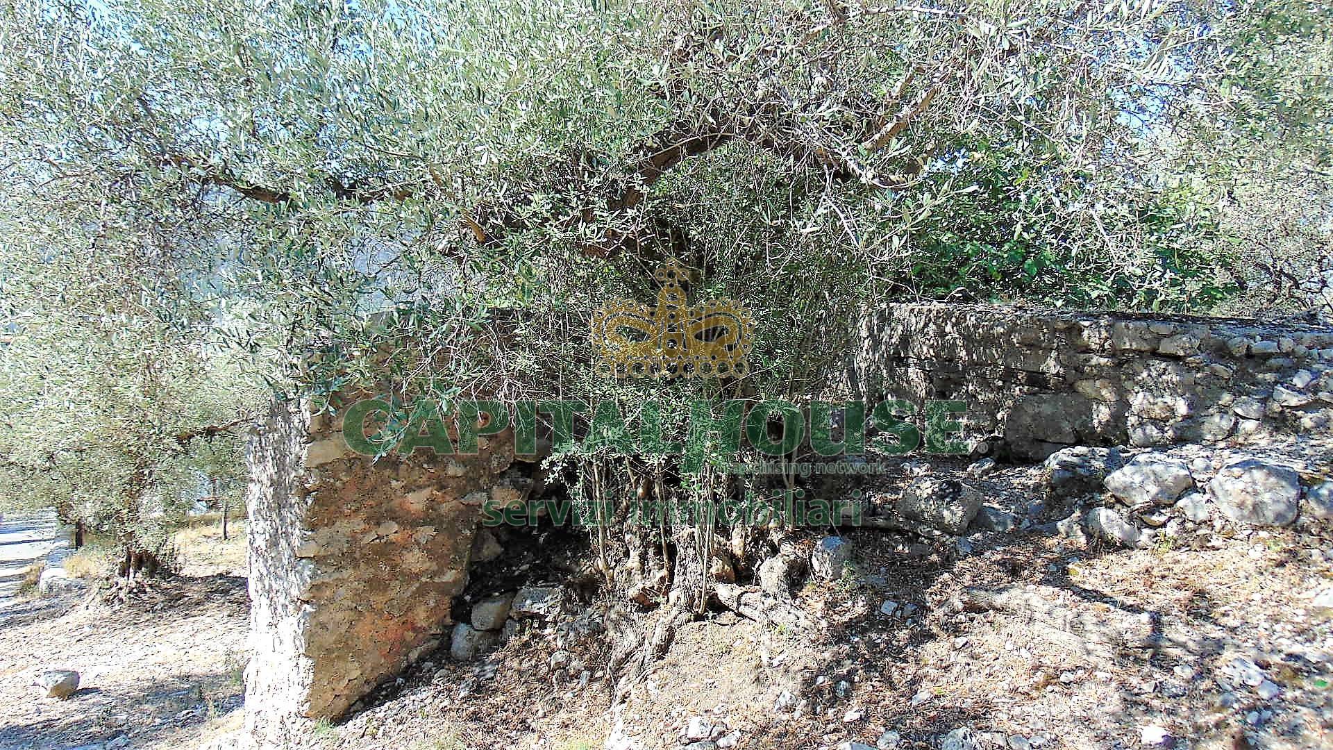 Terreno agr. terrazzato in vendita a Baiano