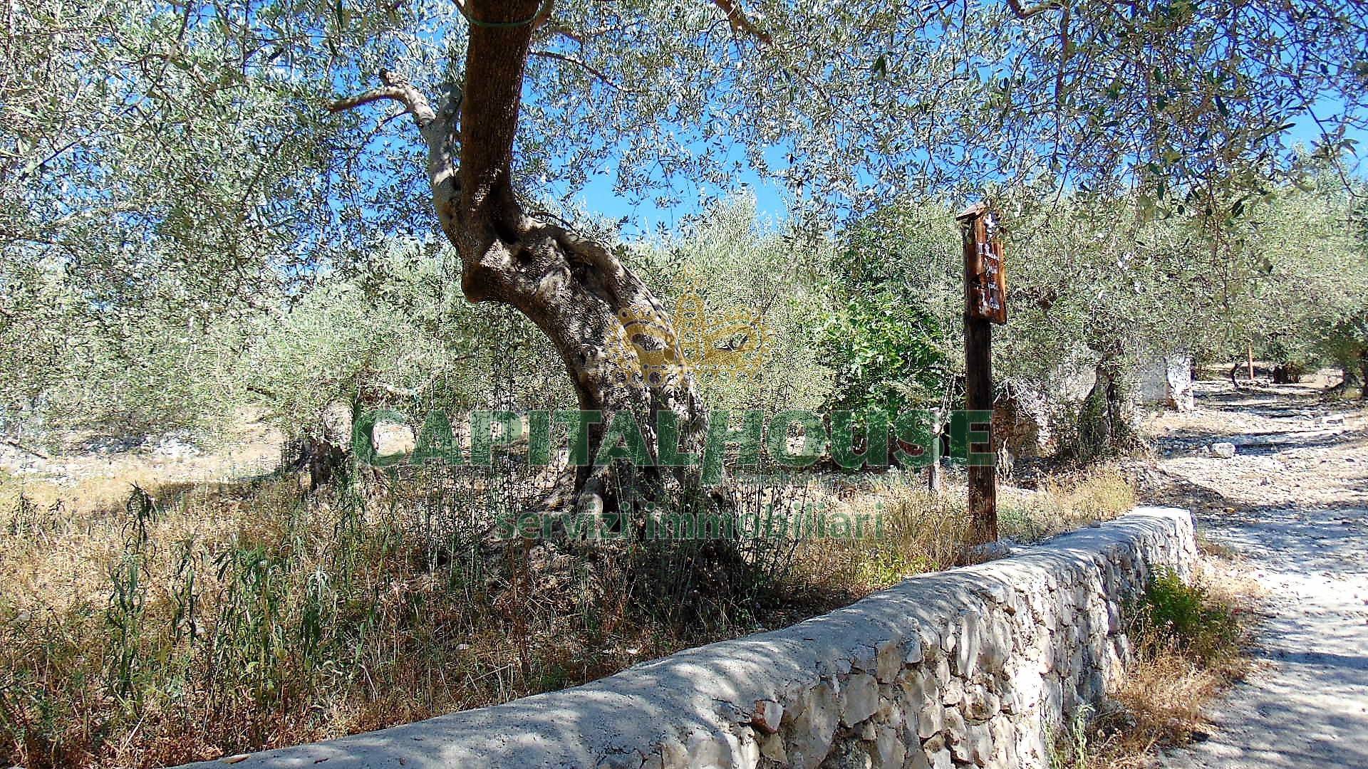 Terreno agr. terrazzato in vendita a Baiano