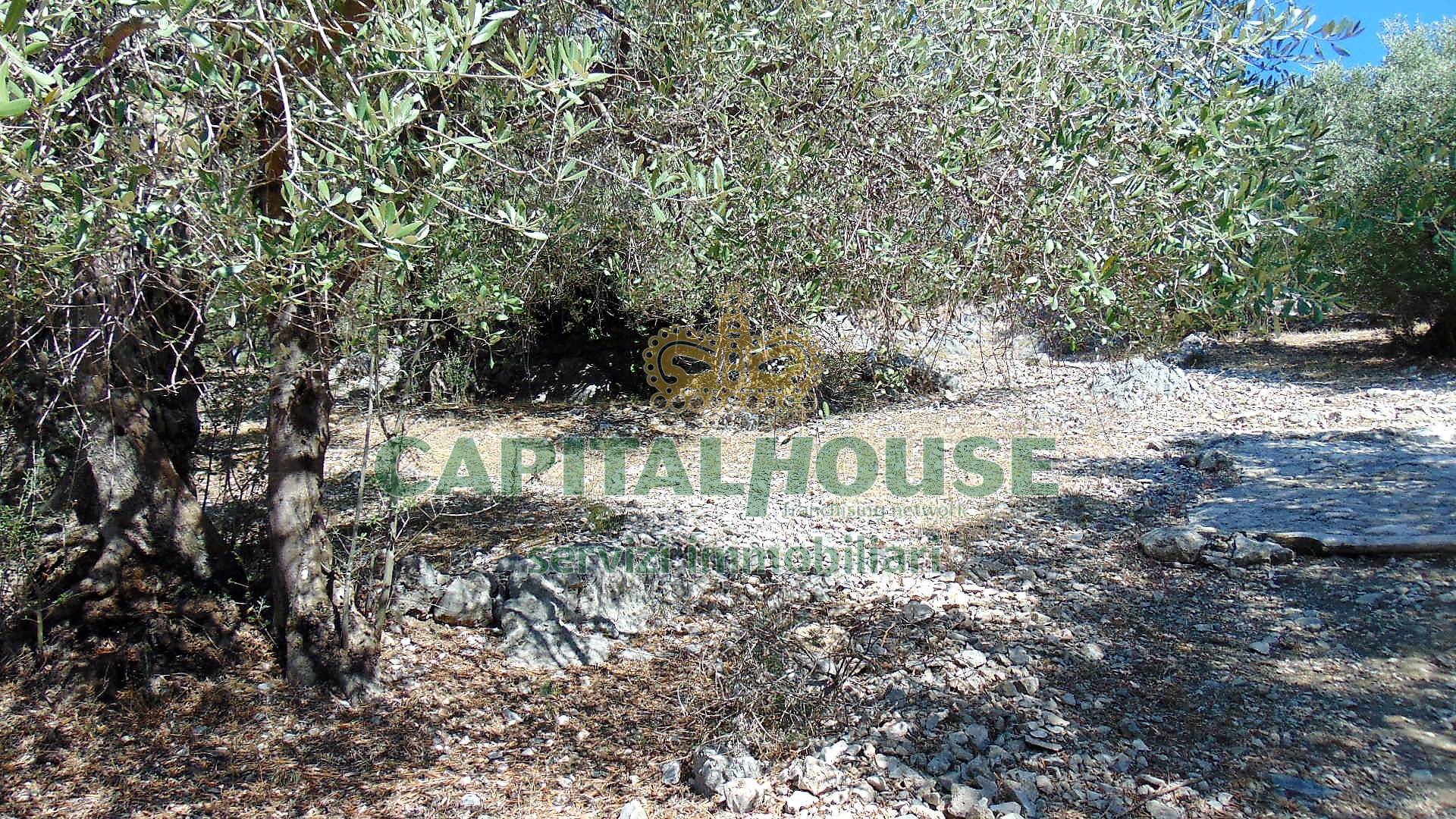 Terreno agr. terrazzato in vendita a Baiano