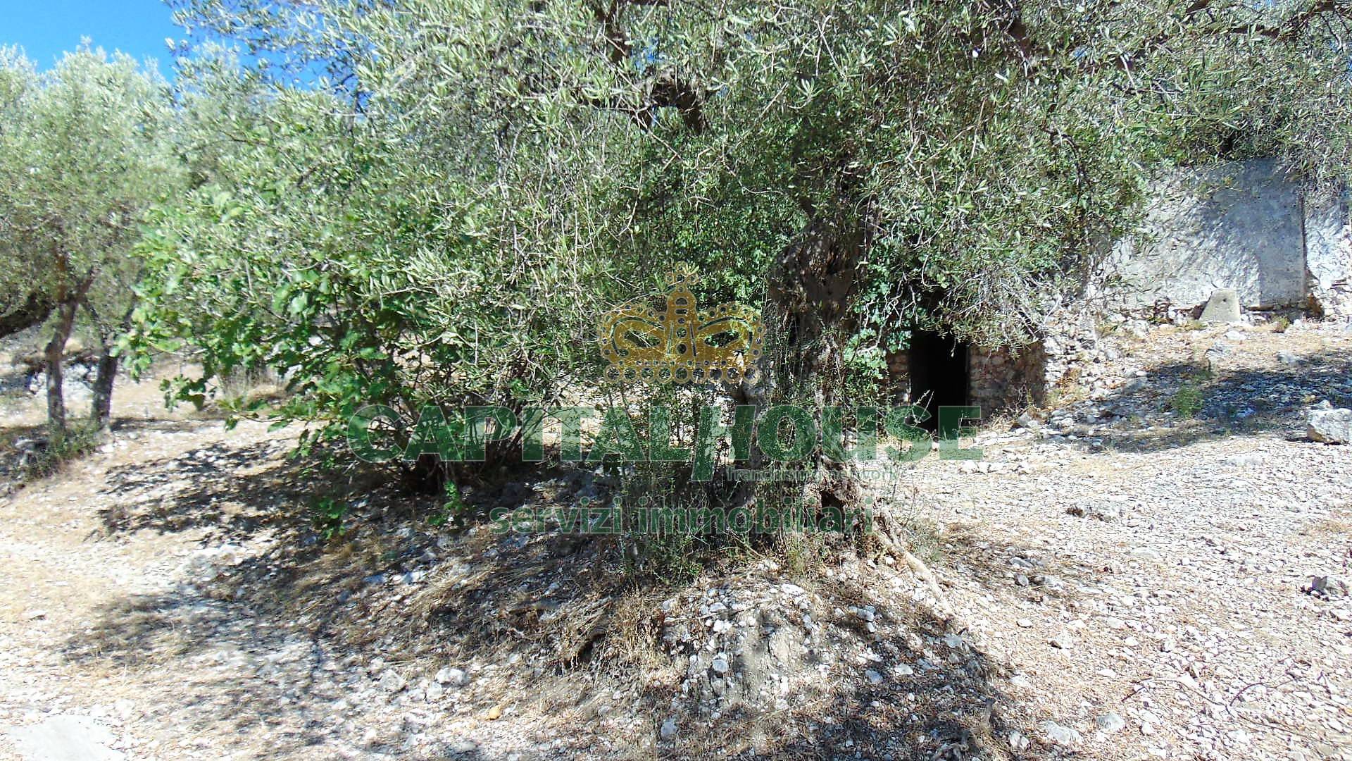Terreno agr. terrazzato in vendita a Baiano
