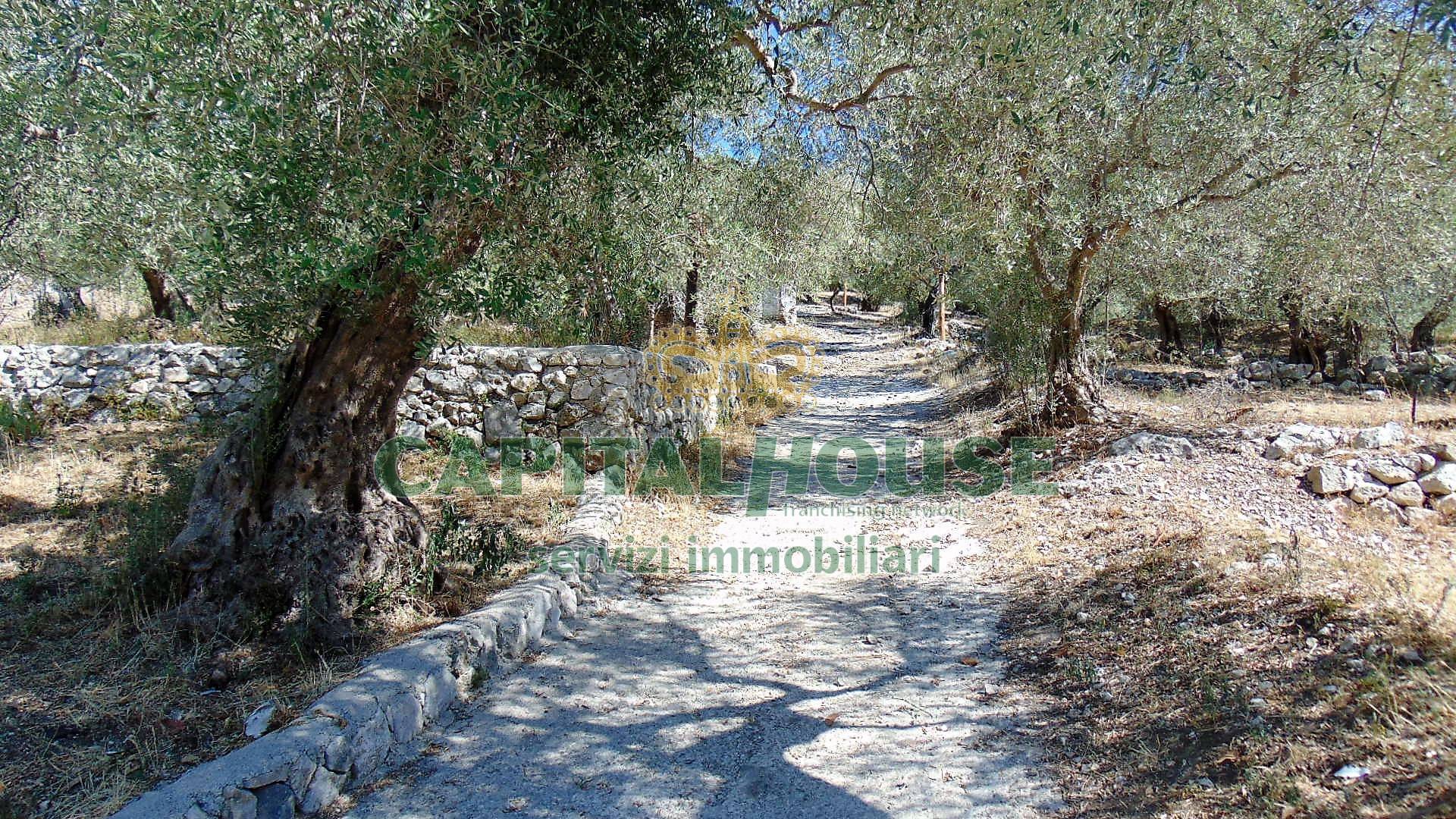 Terreno agr. terrazzato in vendita a Baiano