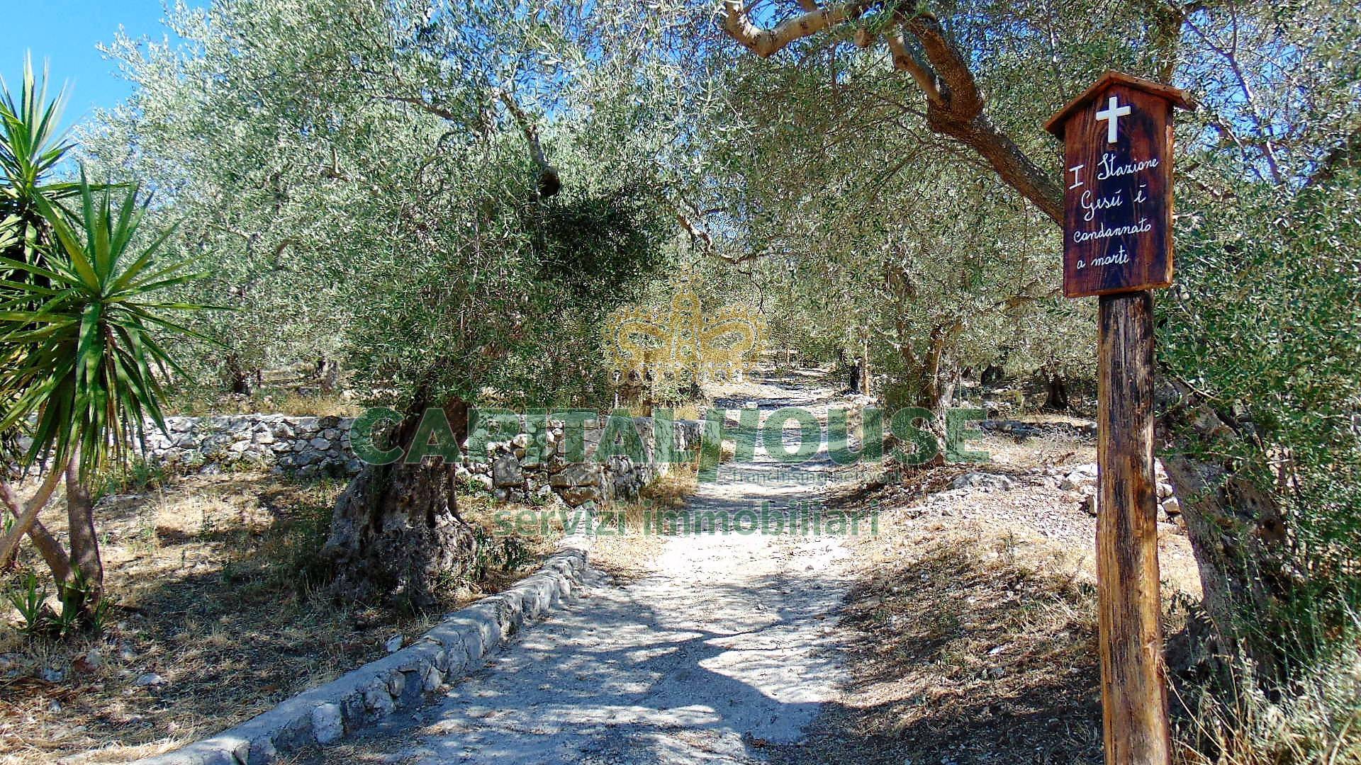 Terreno agr. terrazzato in vendita a Baiano