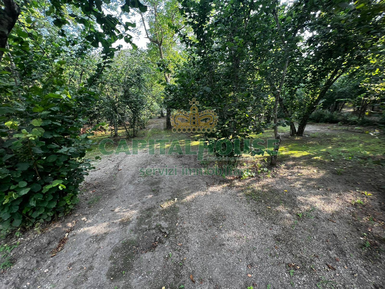 Terreno agricolo in vendita a Baiano