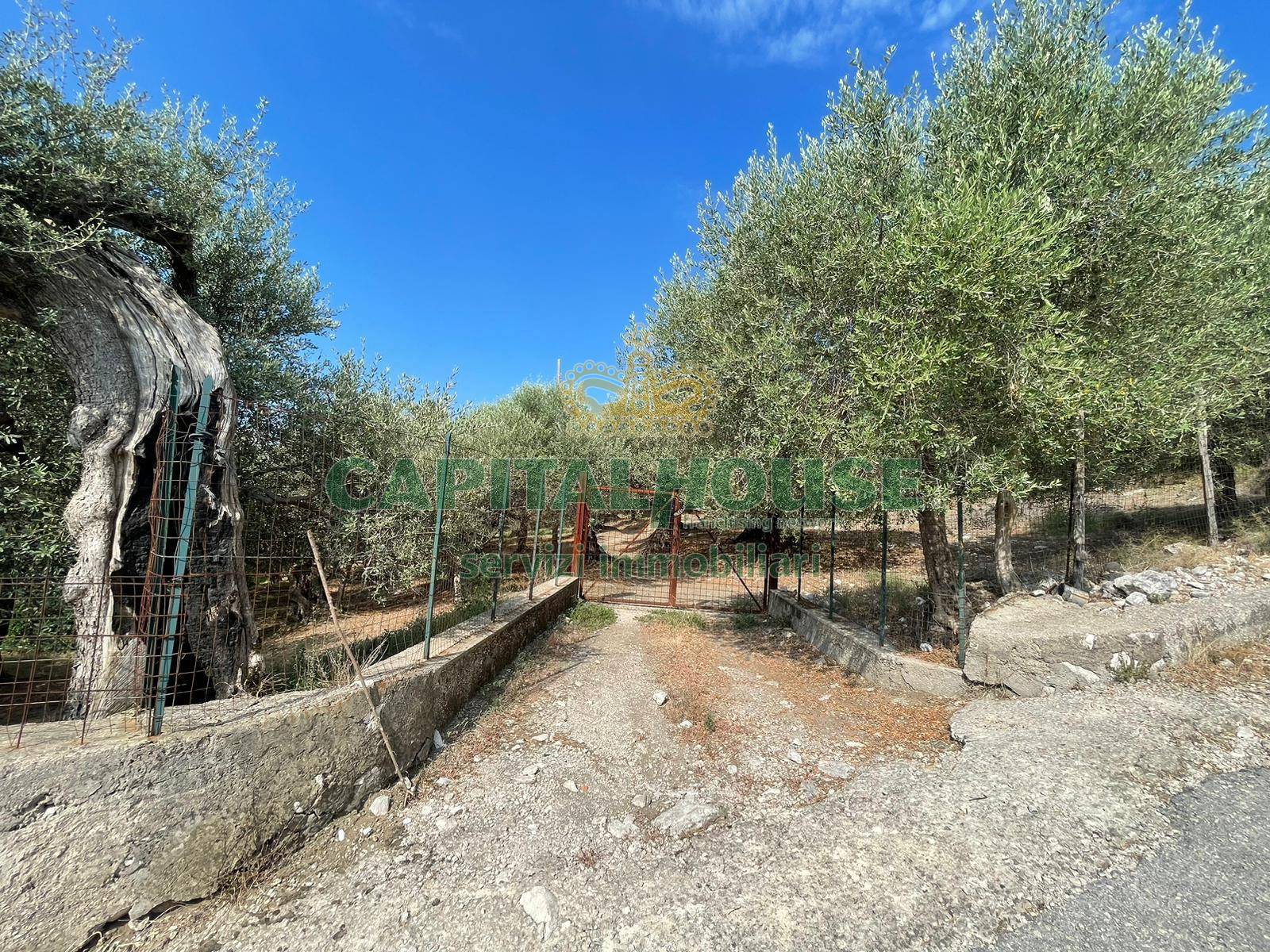 Terreno agricolo in vendita a Avella