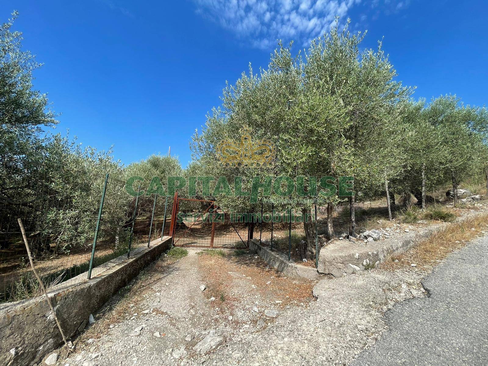 Terreno agricolo in vendita a Avella