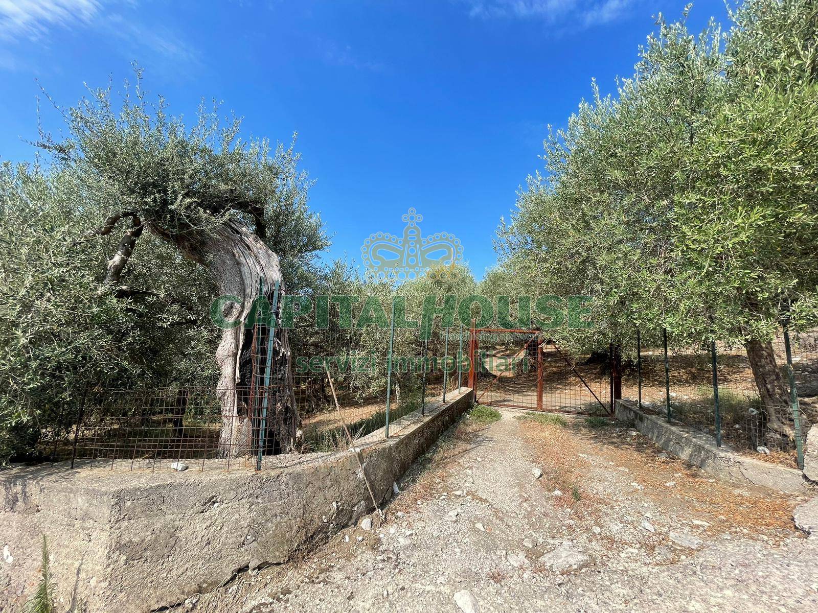 Terreno agricolo in vendita a Avella