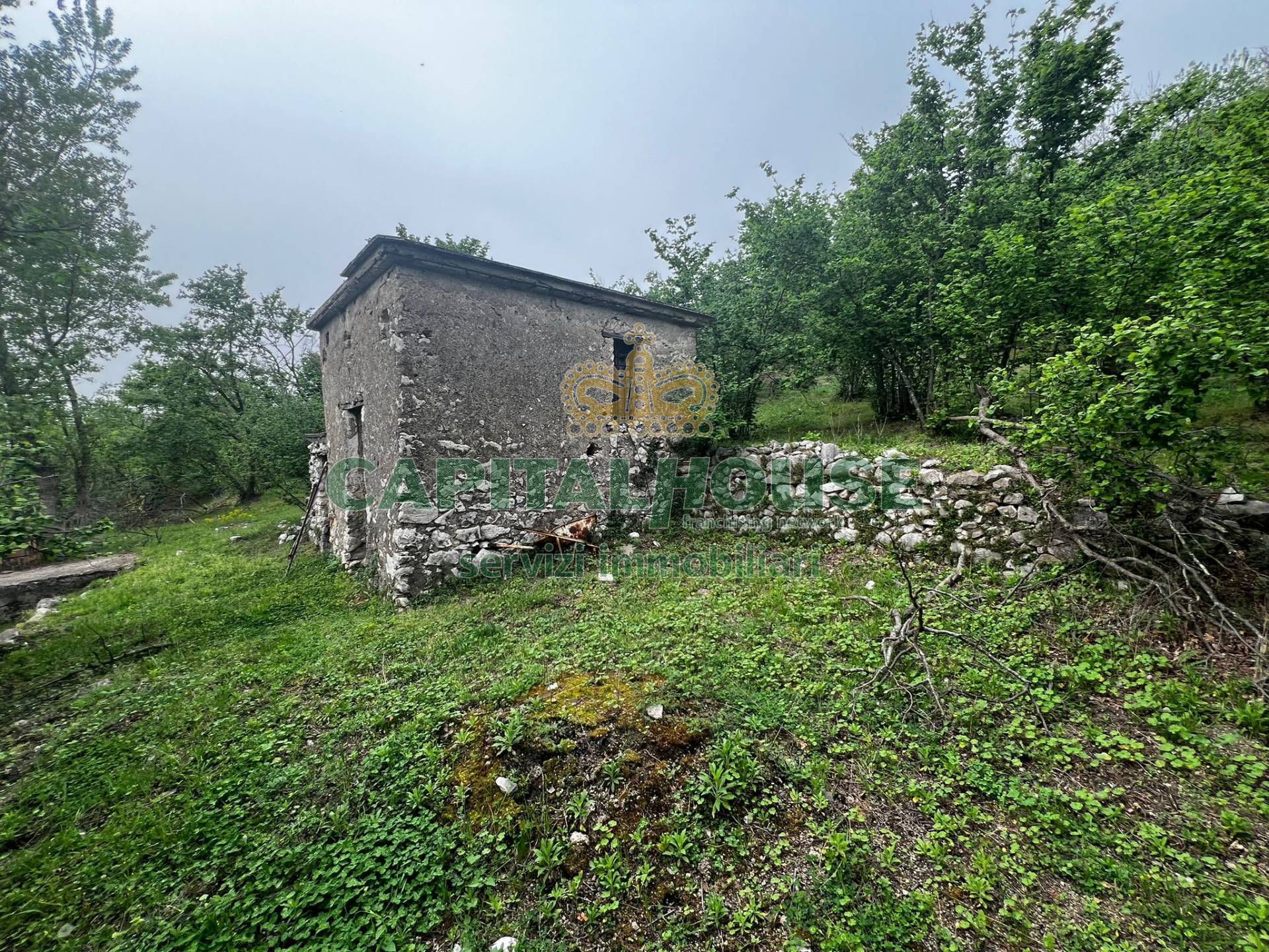 Terreno agricolo in vendita a Mugnano del Cardinale