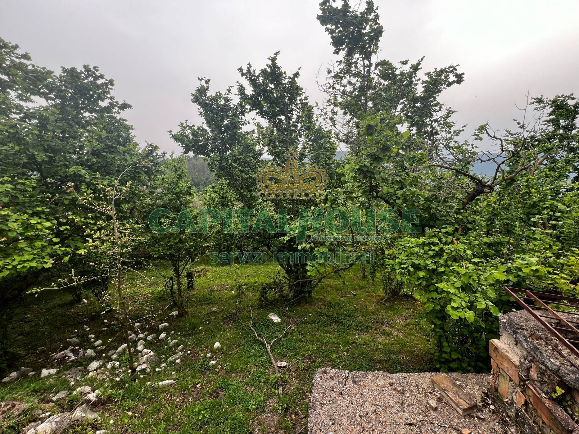 Terreno agricolo in vendita a Mugnano del Cardinale