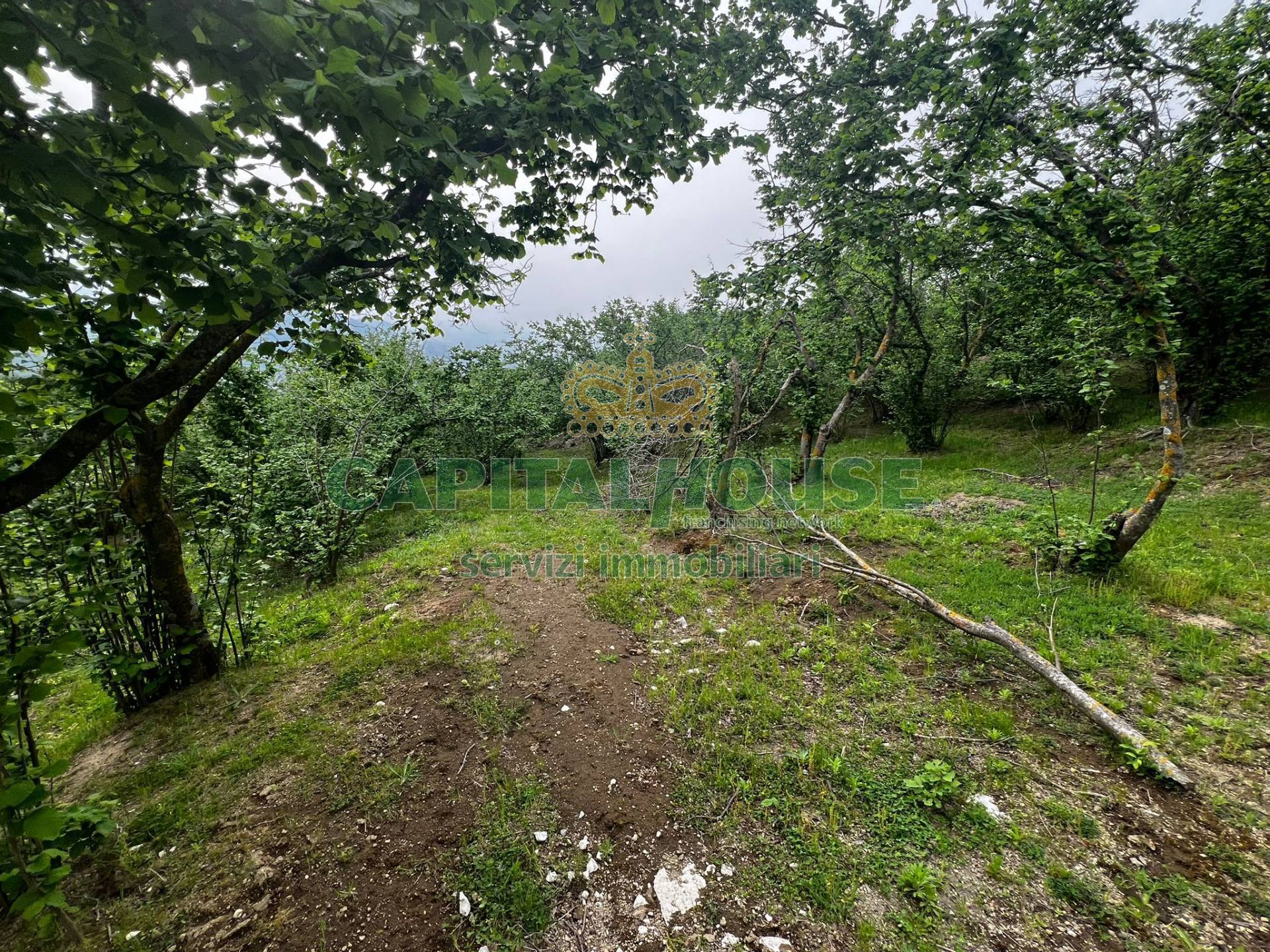 Terreno agricolo in vendita a Mugnano del Cardinale