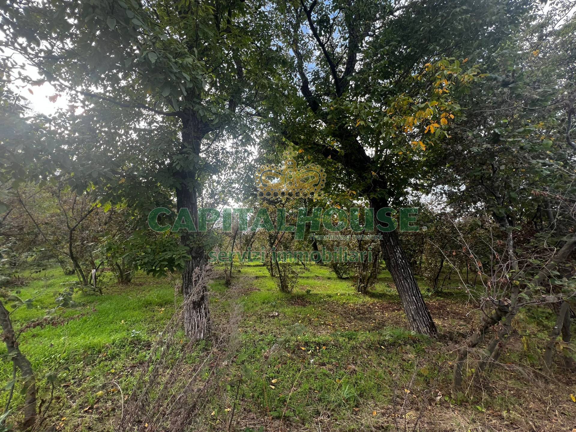 Terreno industriale in vendita a Mugnano del Cardinale