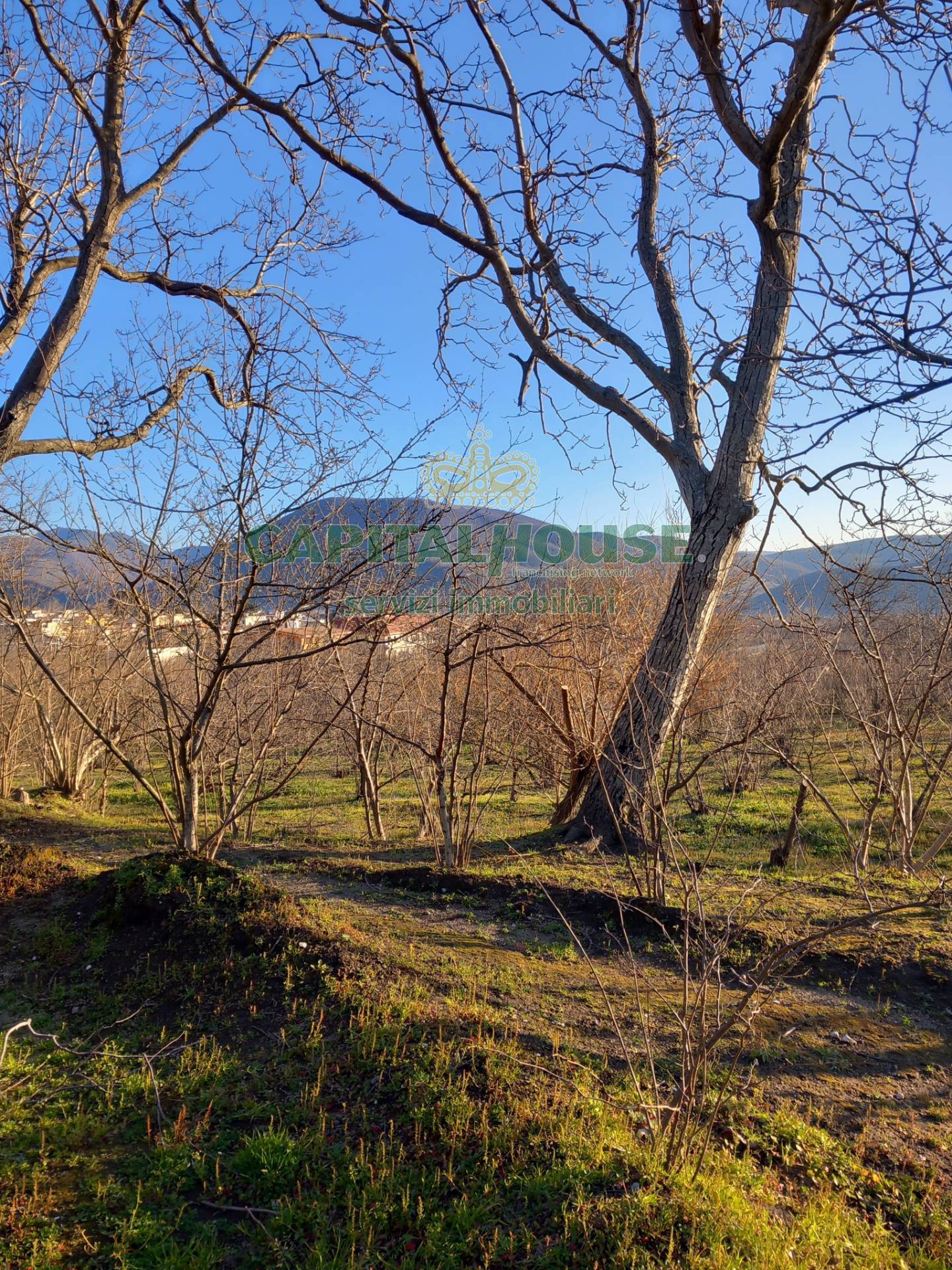 Terreno agricolo - Rudere in vendita a Sirignano