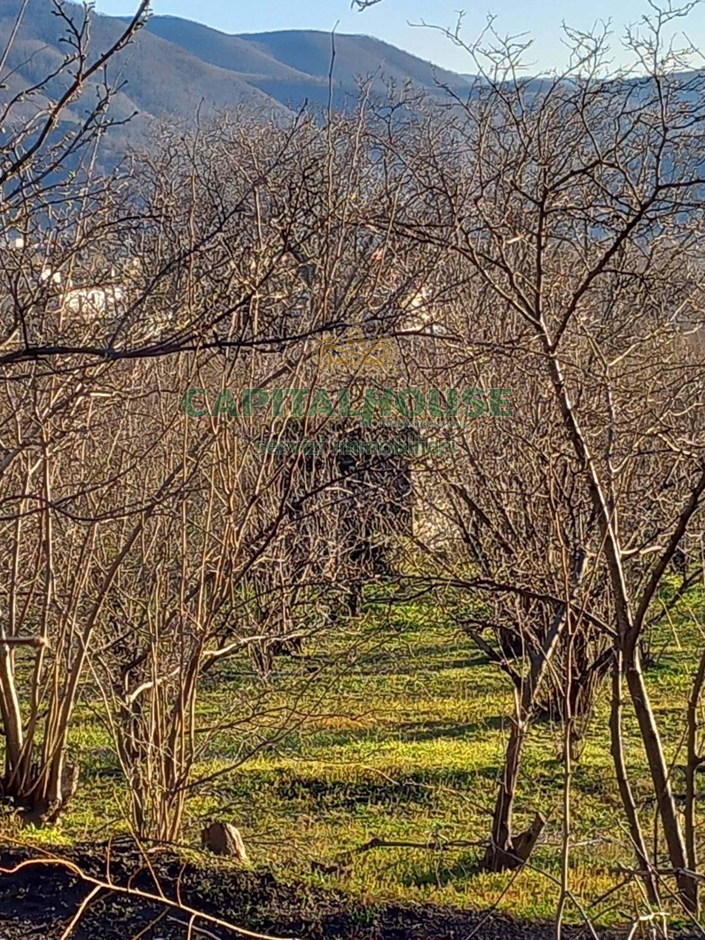Terreno agricolo - Rudere in vendita a Sirignano