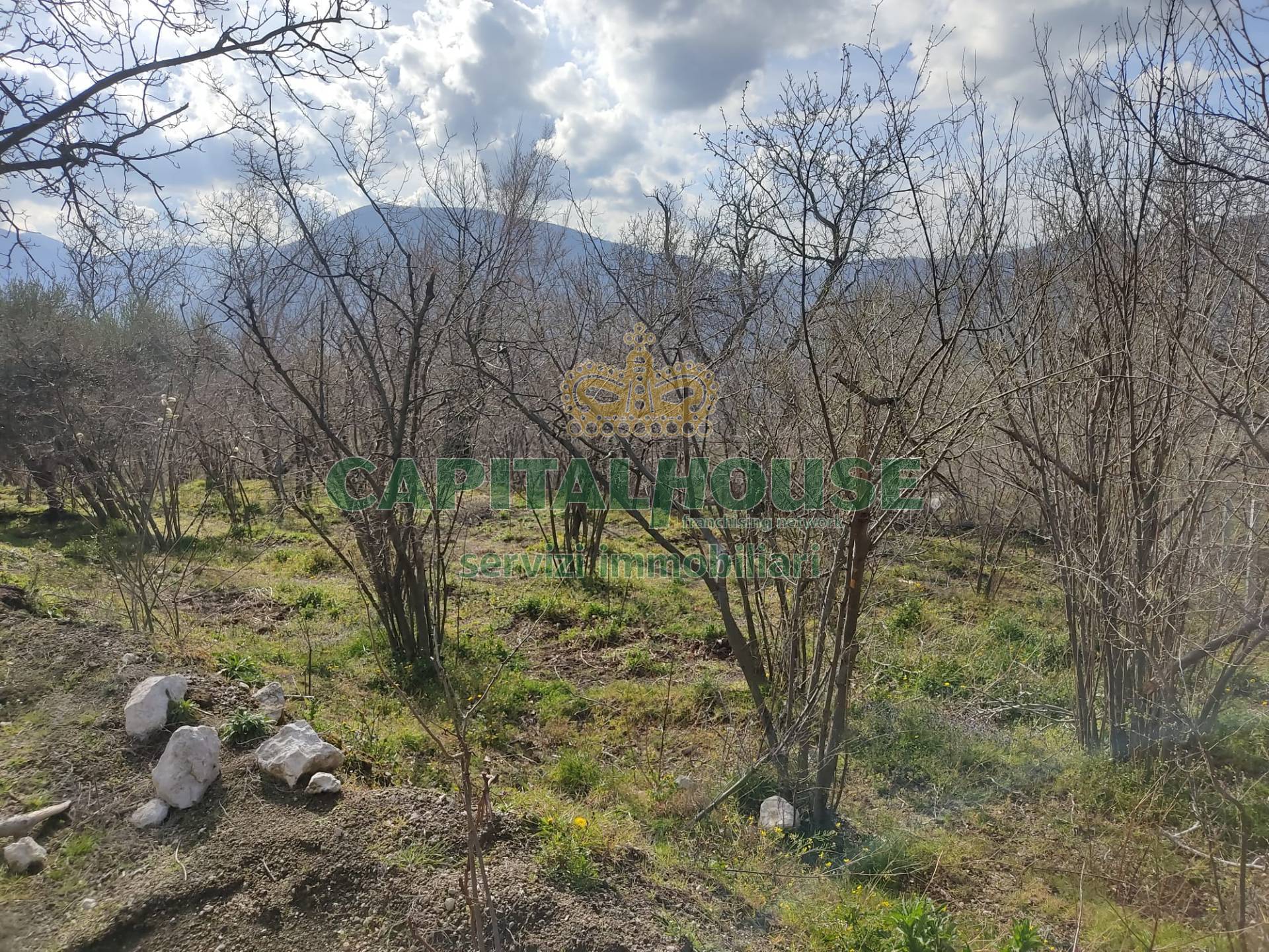 Terreno agr. terrazzato in vendita a Sirignano