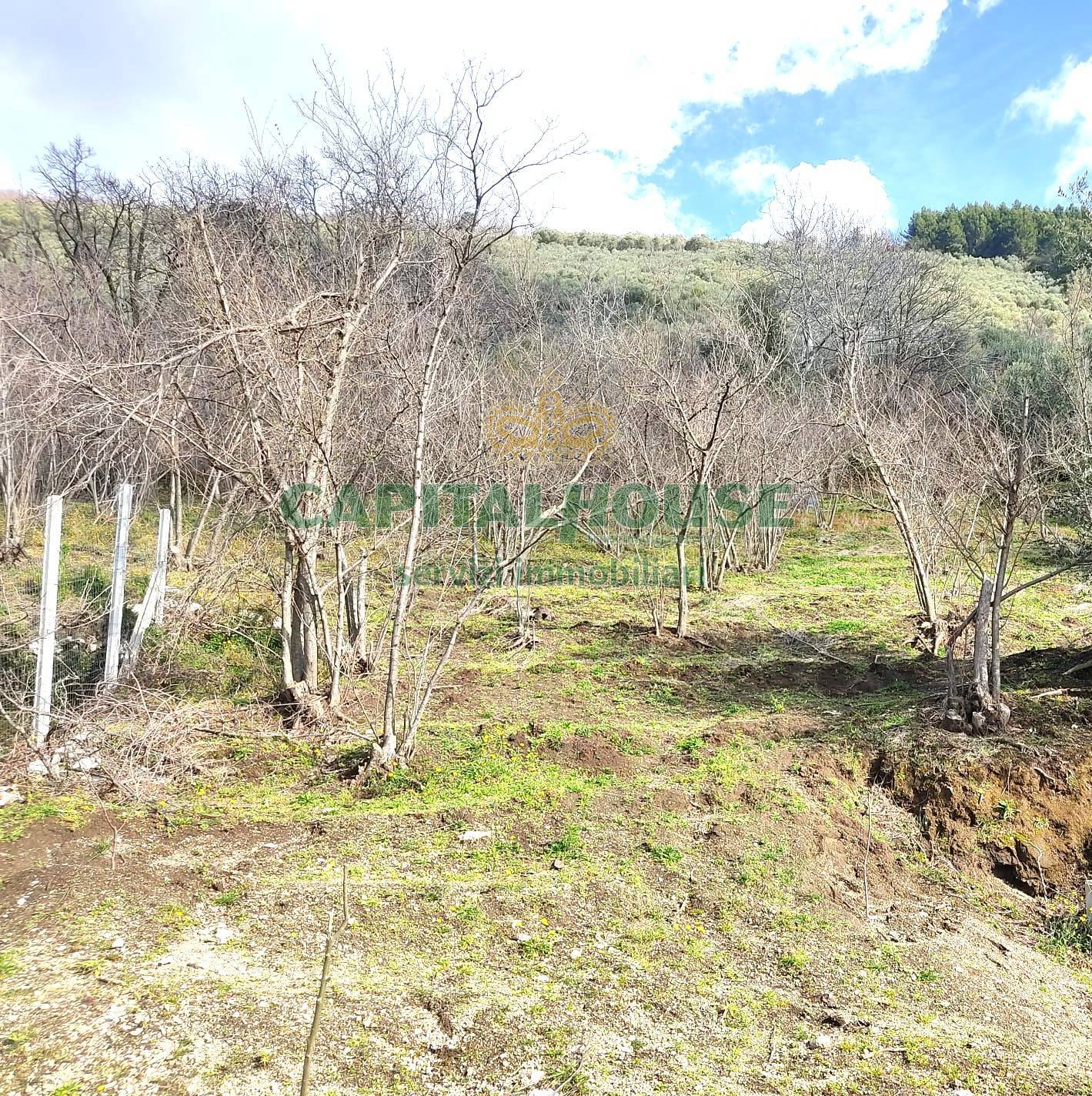 Terreno agr. terrazzato in vendita a Sirignano