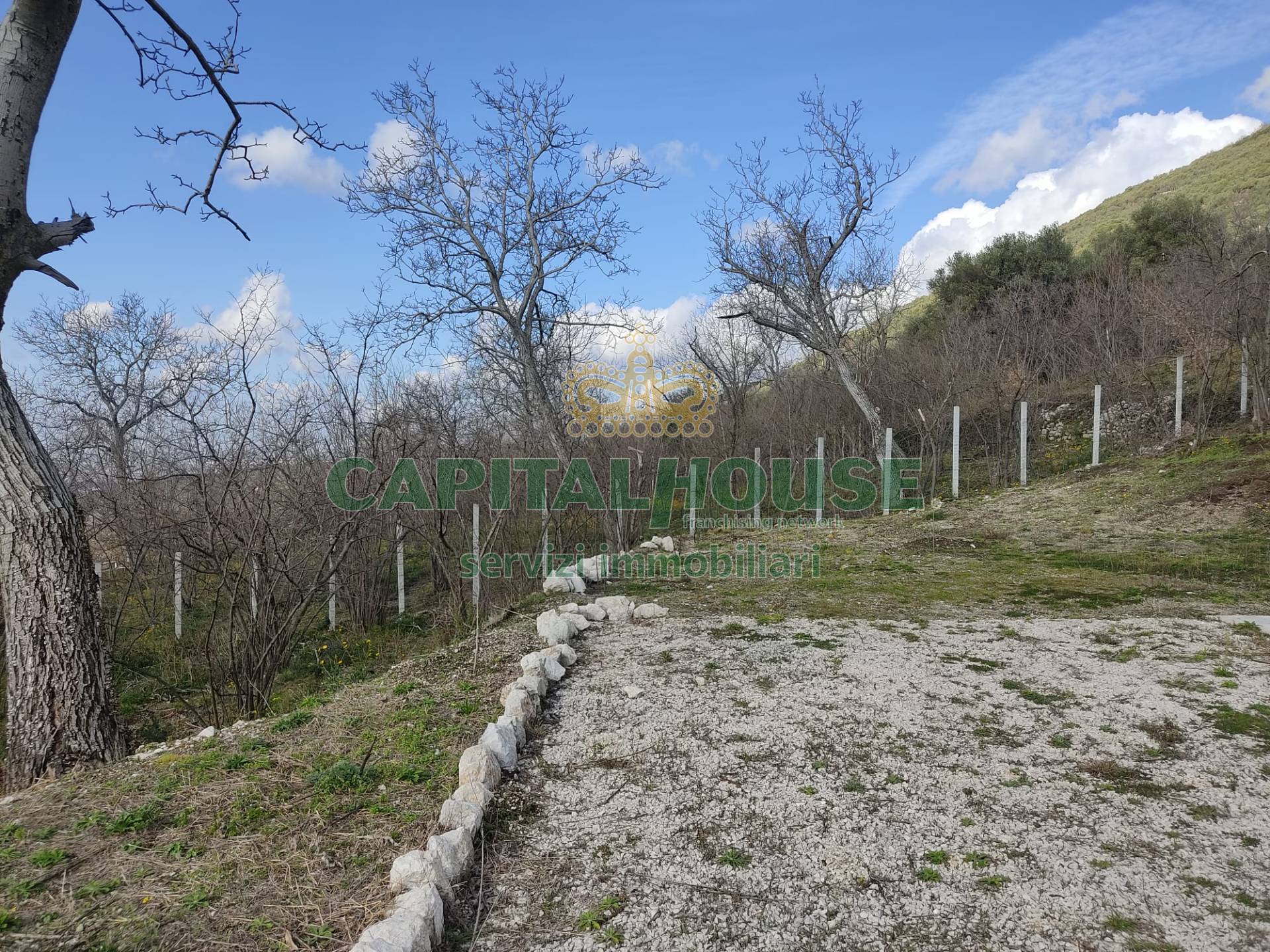Terreno agr. terrazzato in vendita a Sirignano