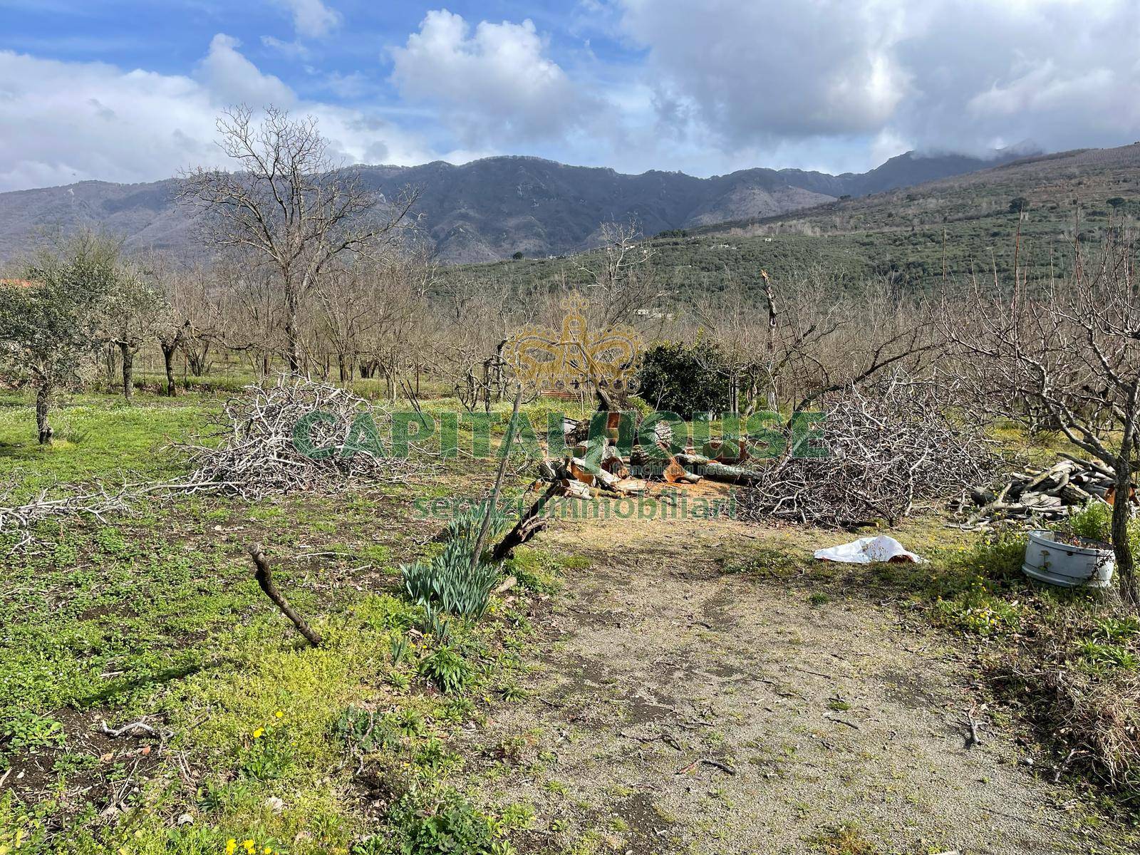Terreno pianeggiante in vendita a Avella
