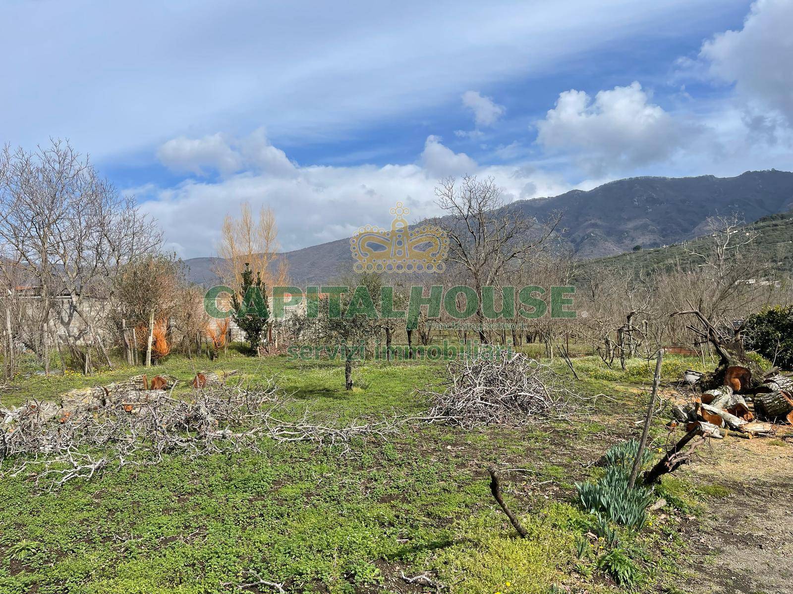 Terreno pianeggiante in vendita a Avella