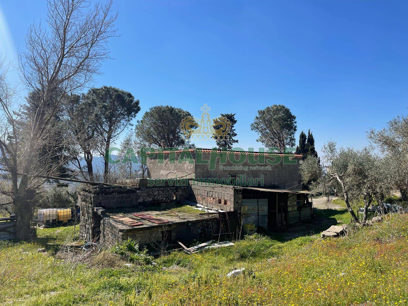 Terreno agricolo - Rudere in vendita a Avella