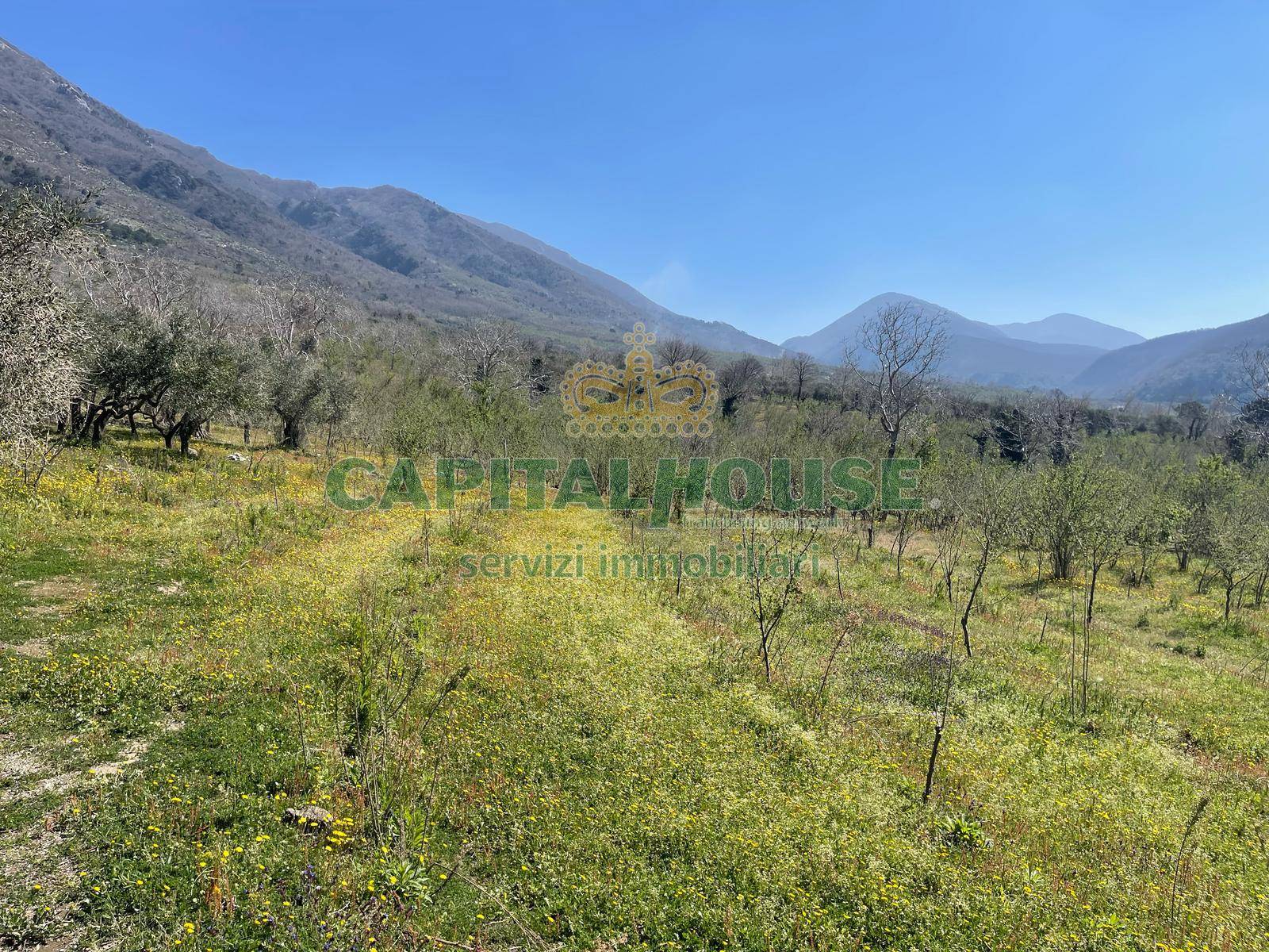 Terreno agricolo - Rudere in vendita a Avella