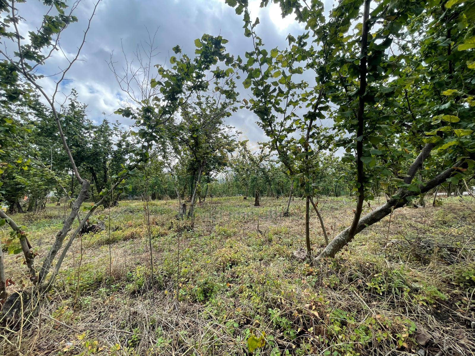 Terreno edificabile in vendita a Avella