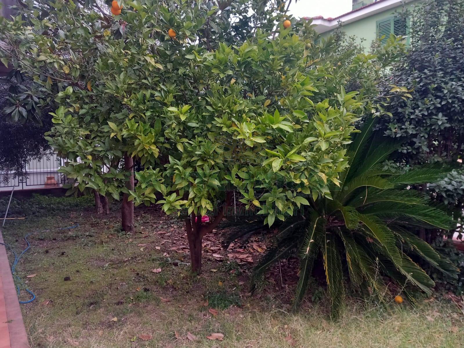 Villa in vendita a Sirignano