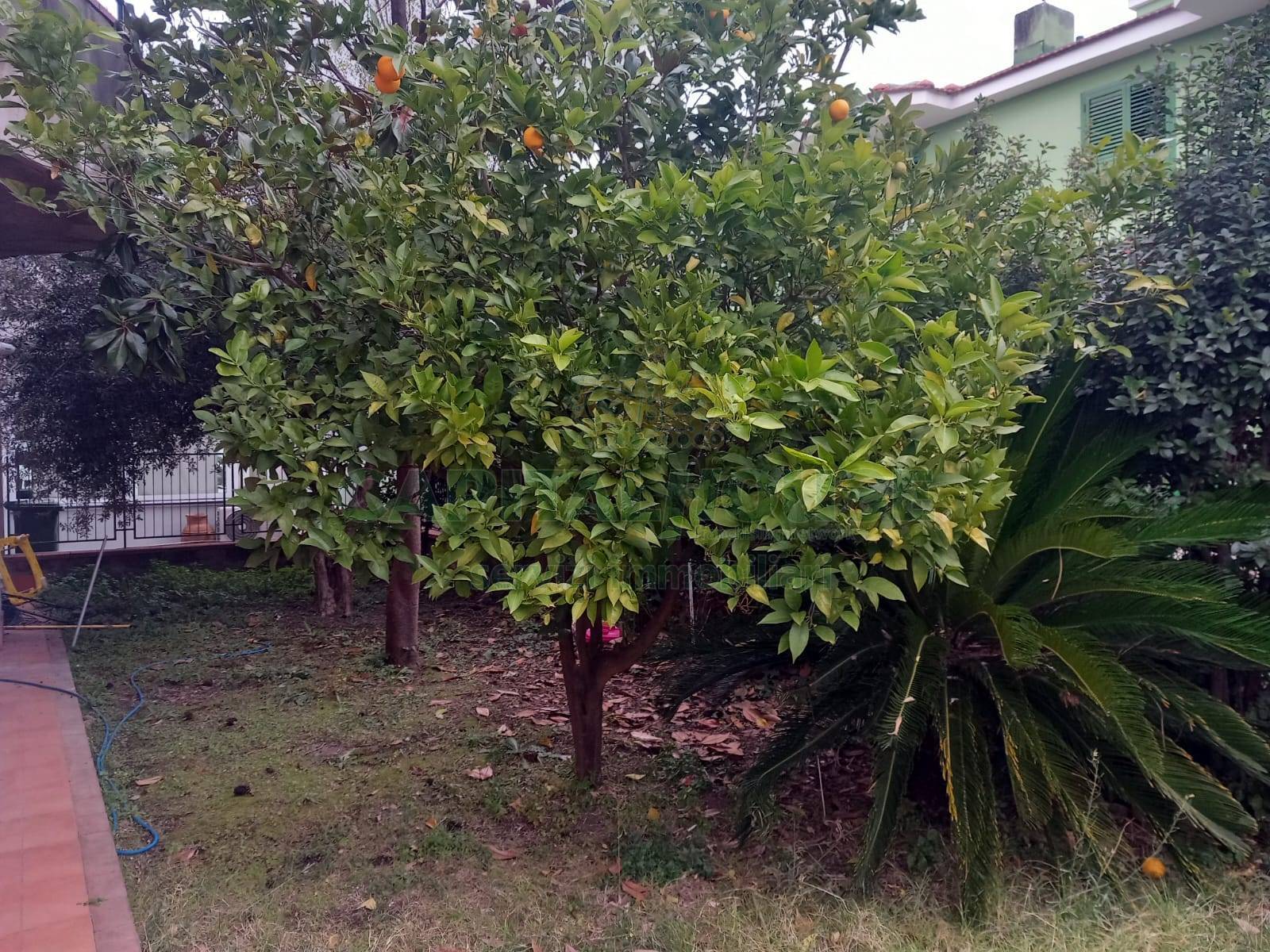 Villa in vendita a Sirignano