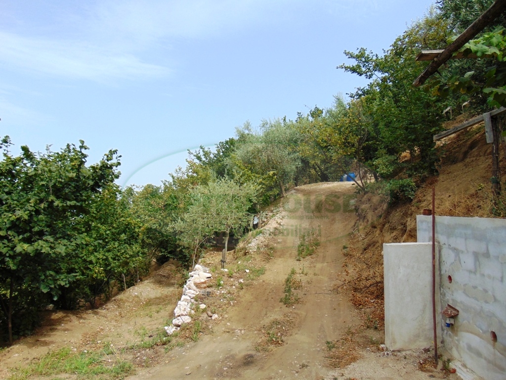 Terreno agricolo in vendita a Mugnano del Cardinale