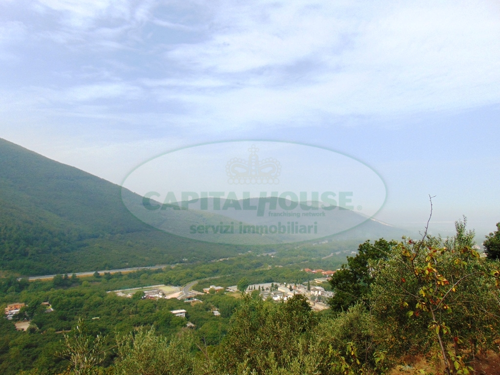 Terreno agricolo in vendita a Mugnano del Cardinale