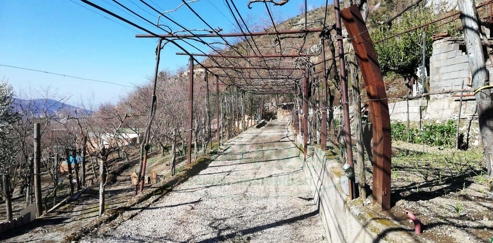 Terreno agricolo in vendita a Quadrelle