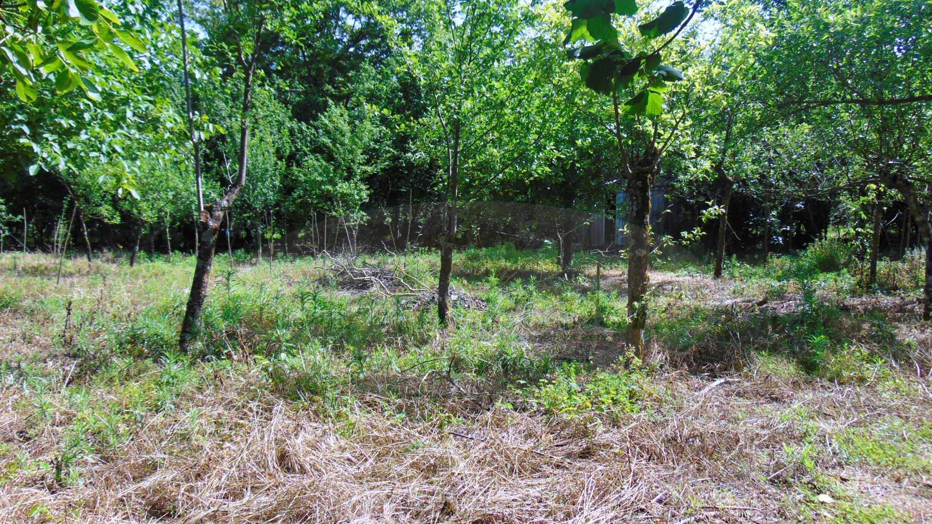Terreno agricolo in vendita a Baiano