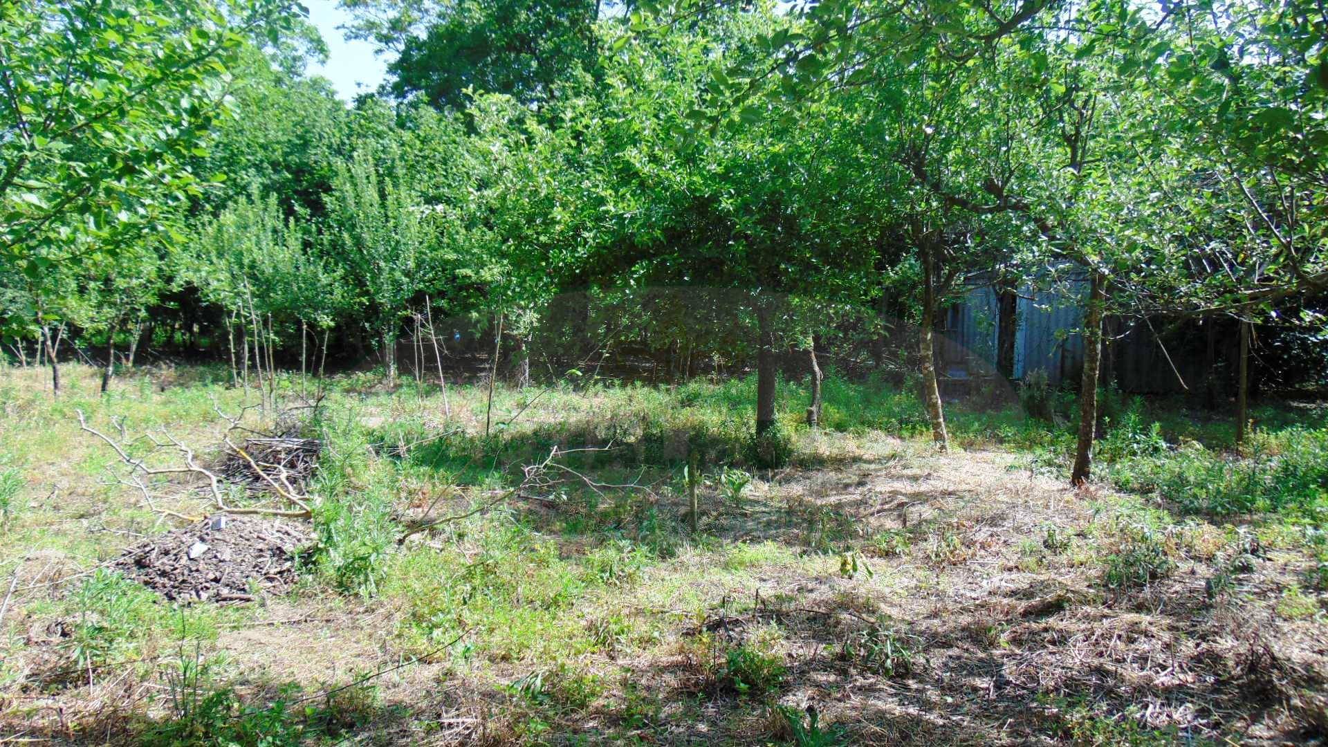 Terreno agricolo in vendita a Baiano
