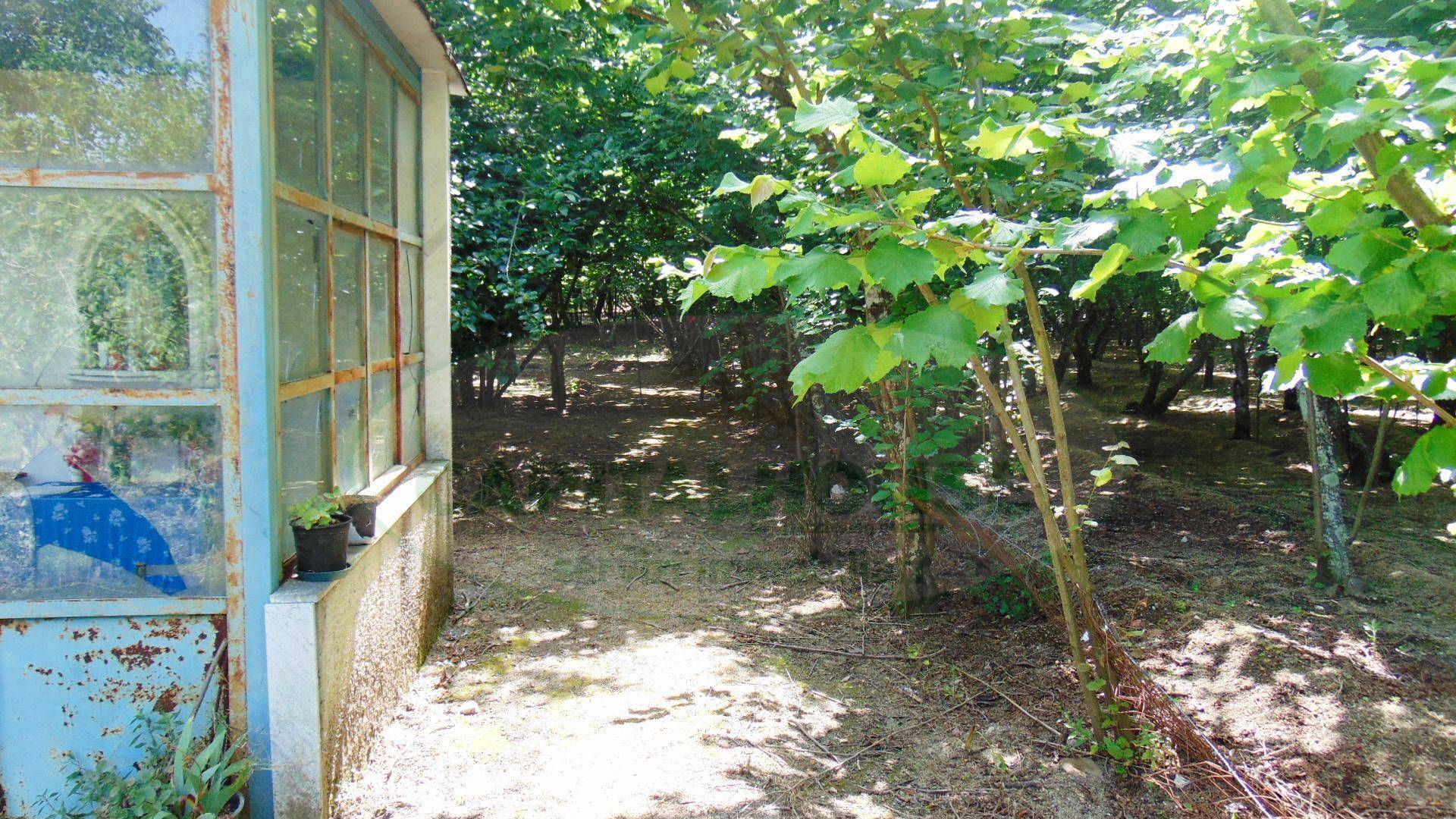 Terreno agricolo in vendita a Baiano