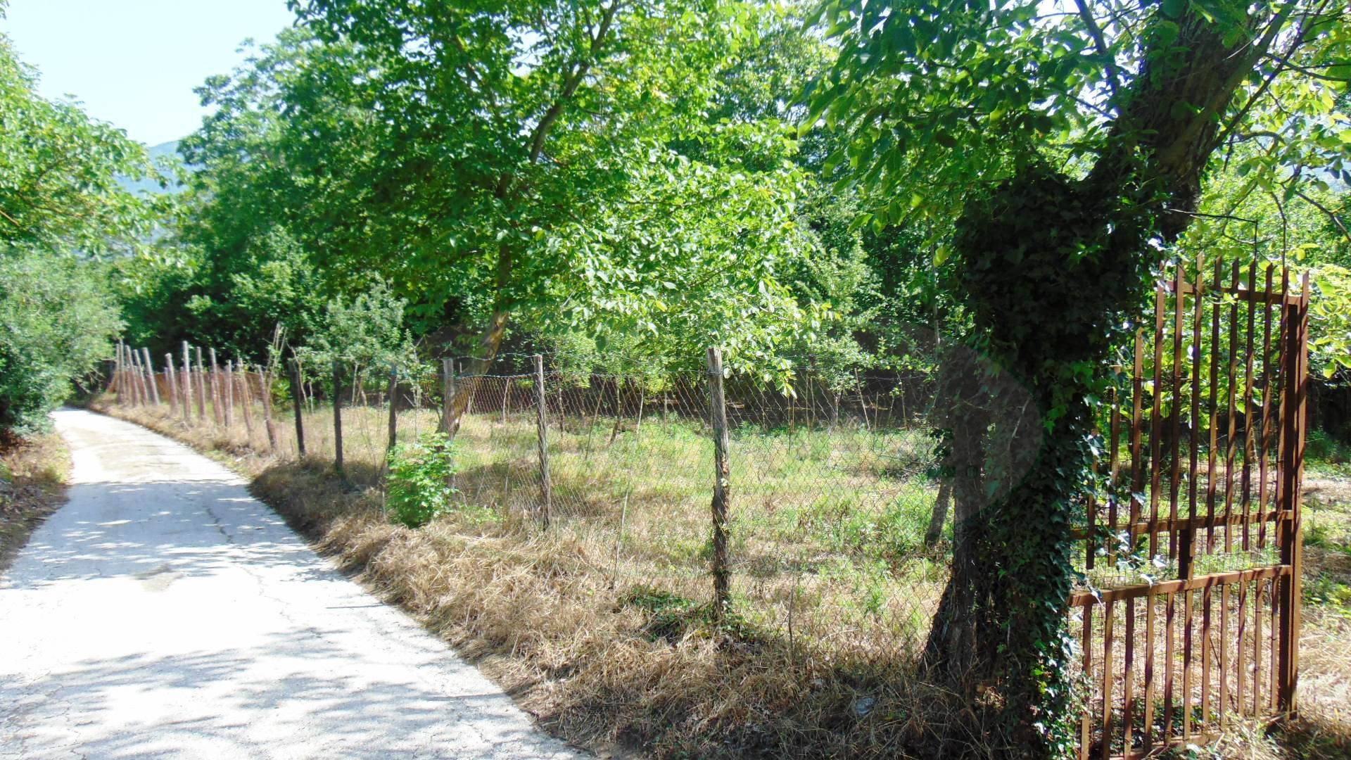 Terreno agricolo in vendita a Baiano