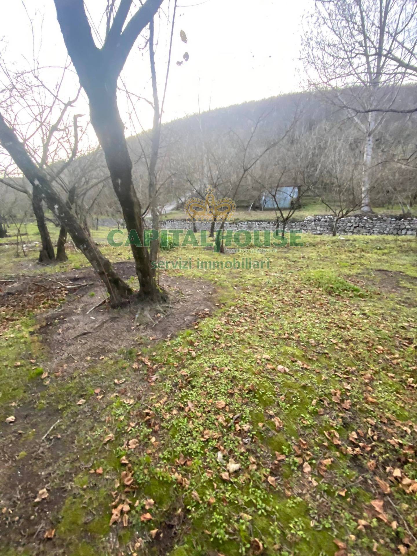 Terreno agricolo in vendita a Mugnano del Cardinale