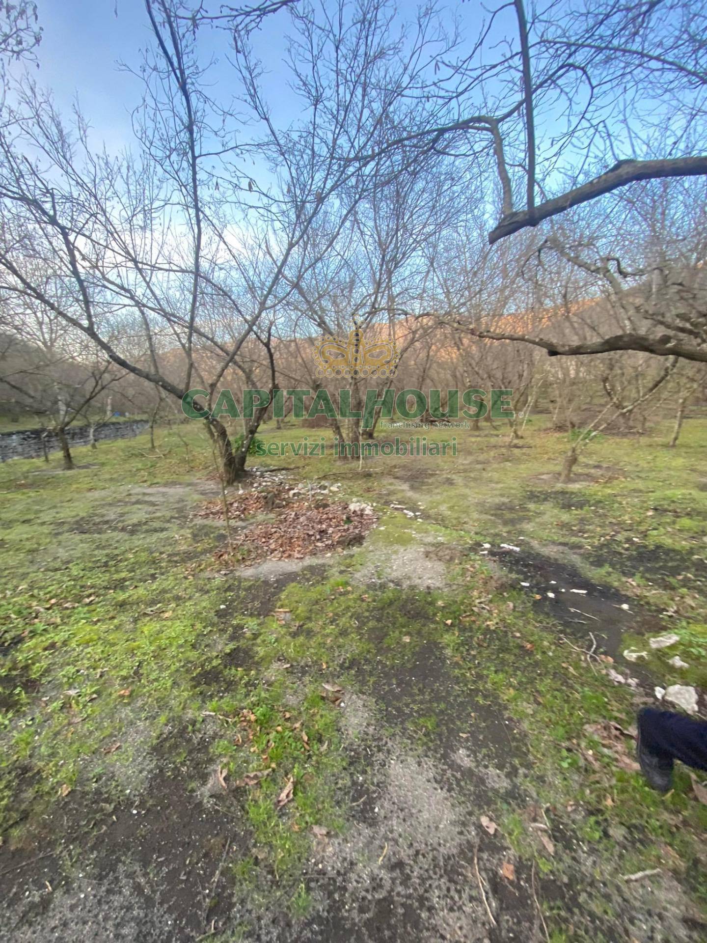 Terreno agricolo in vendita a Mugnano del Cardinale