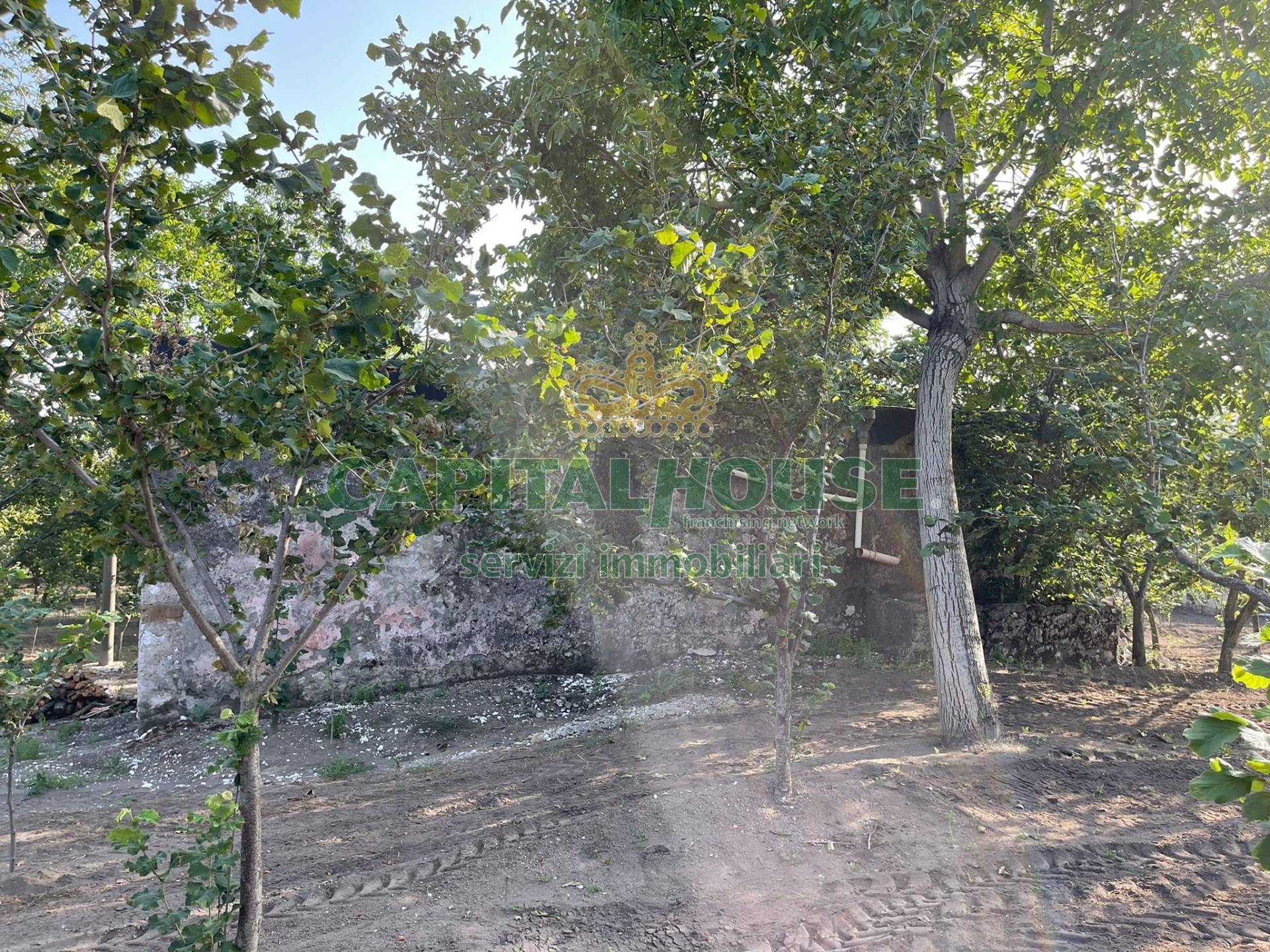 Terreno agricolo in vendita a Avella