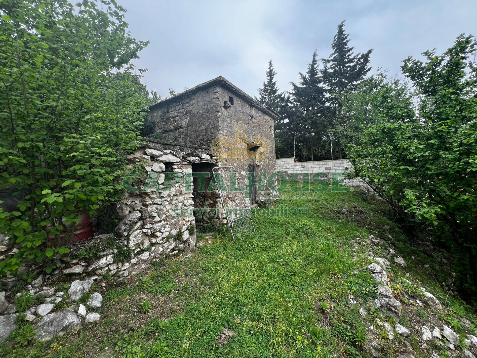 Terreno agricolo in vendita a Mugnano del Cardinale