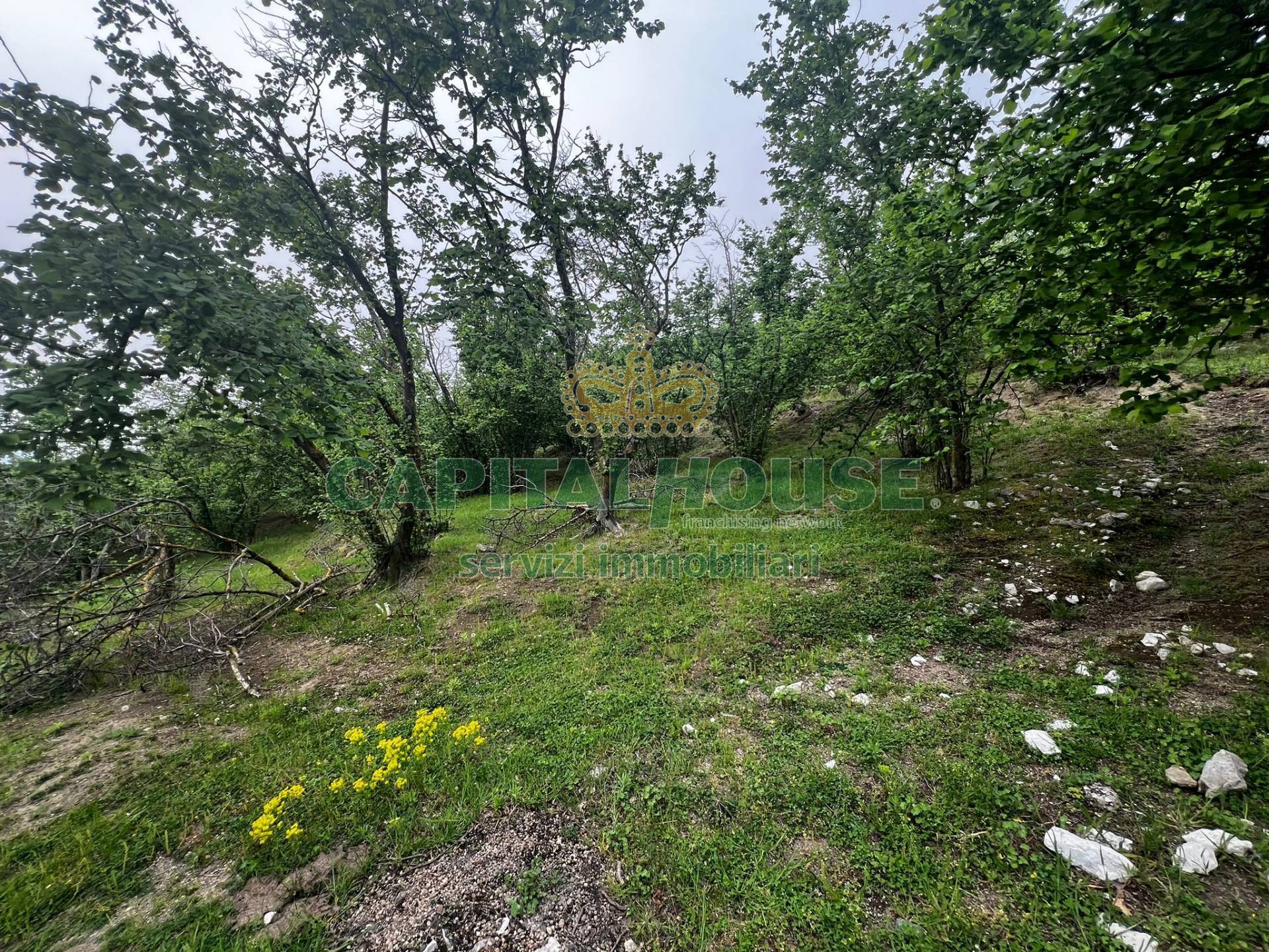 Terreno agricolo in vendita a Mugnano del Cardinale
