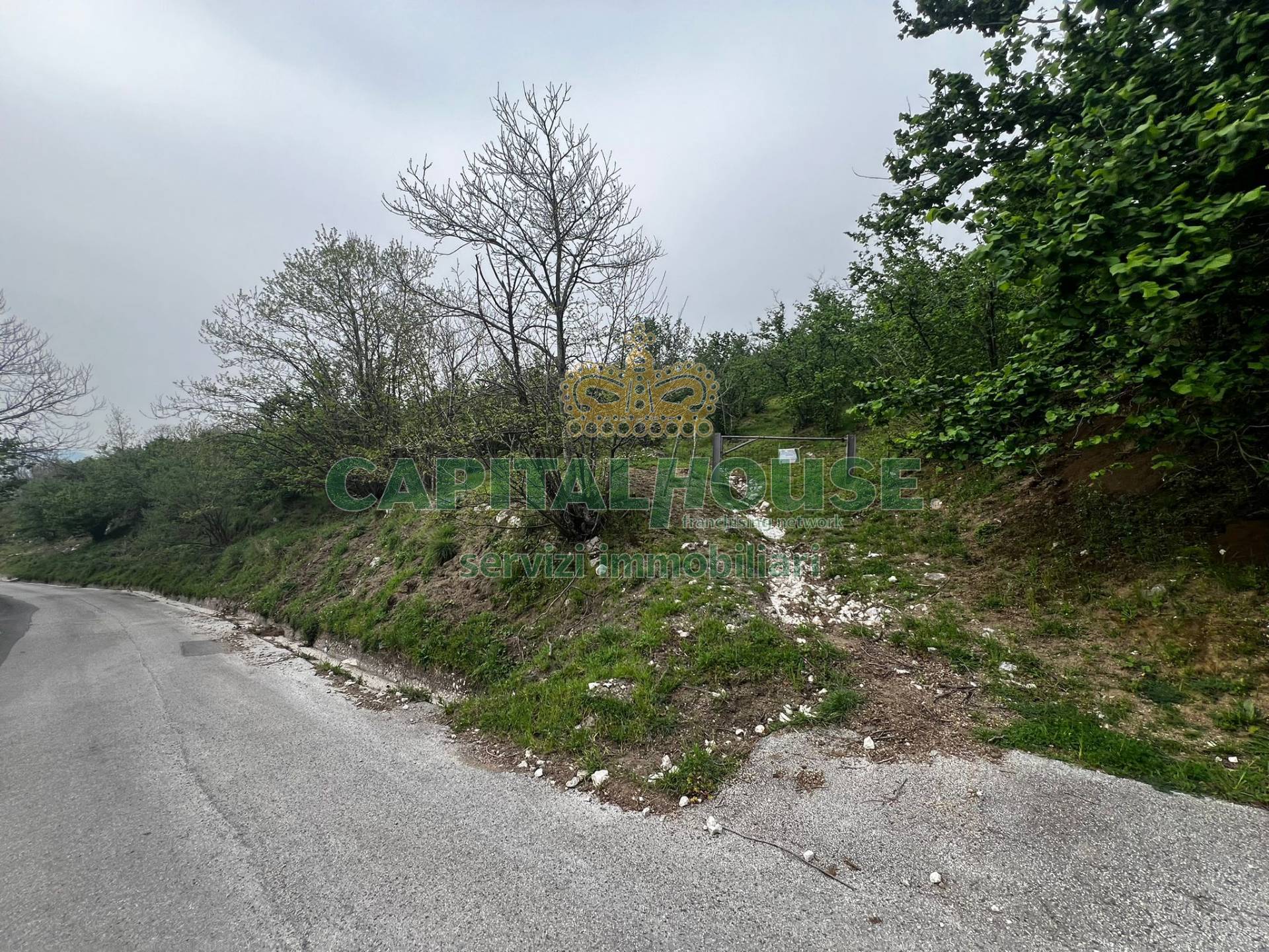 Terreno agricolo in vendita a Mugnano del Cardinale