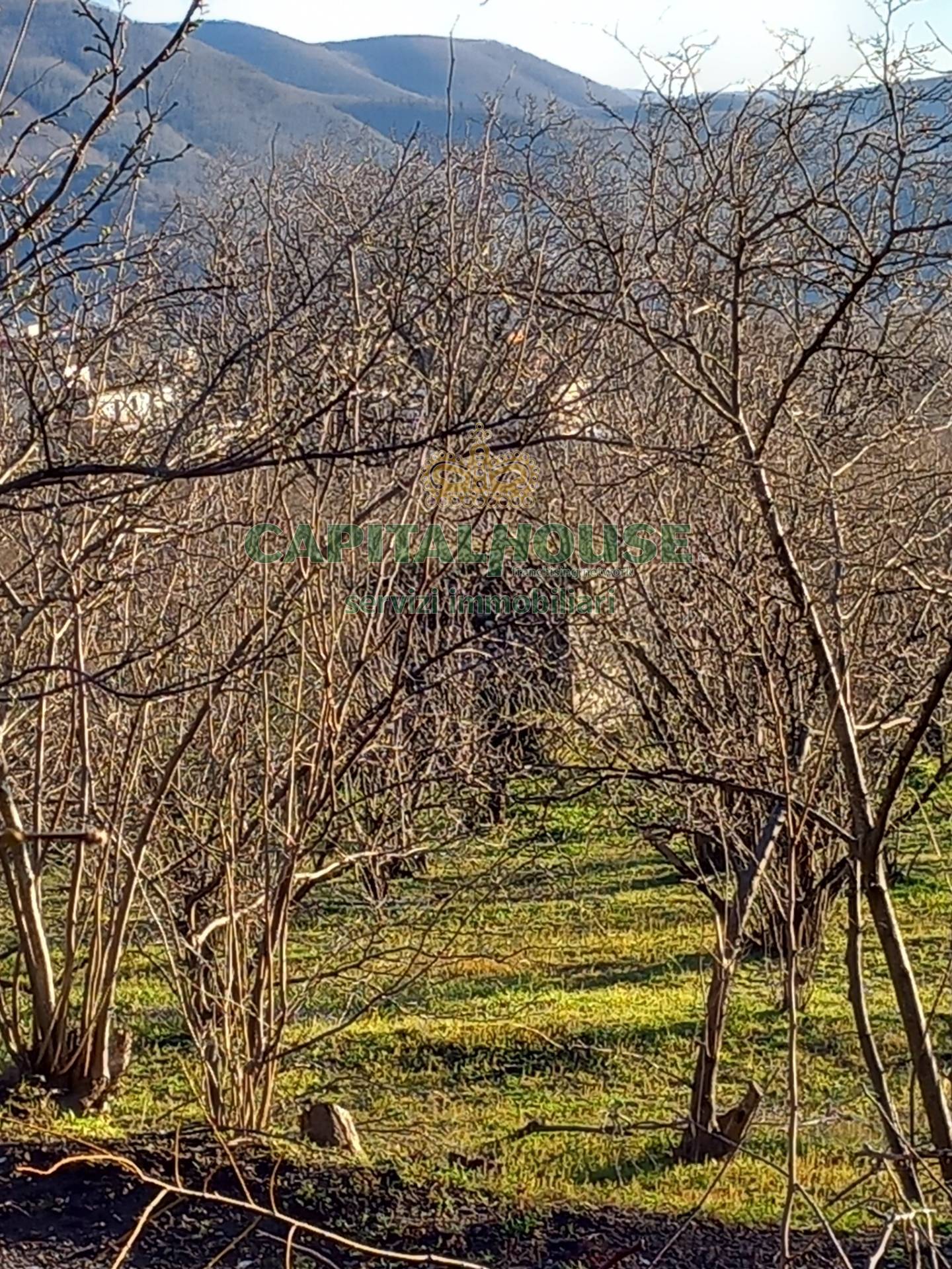 Terreno agricolo - Rudere in vendita a Sirignano
