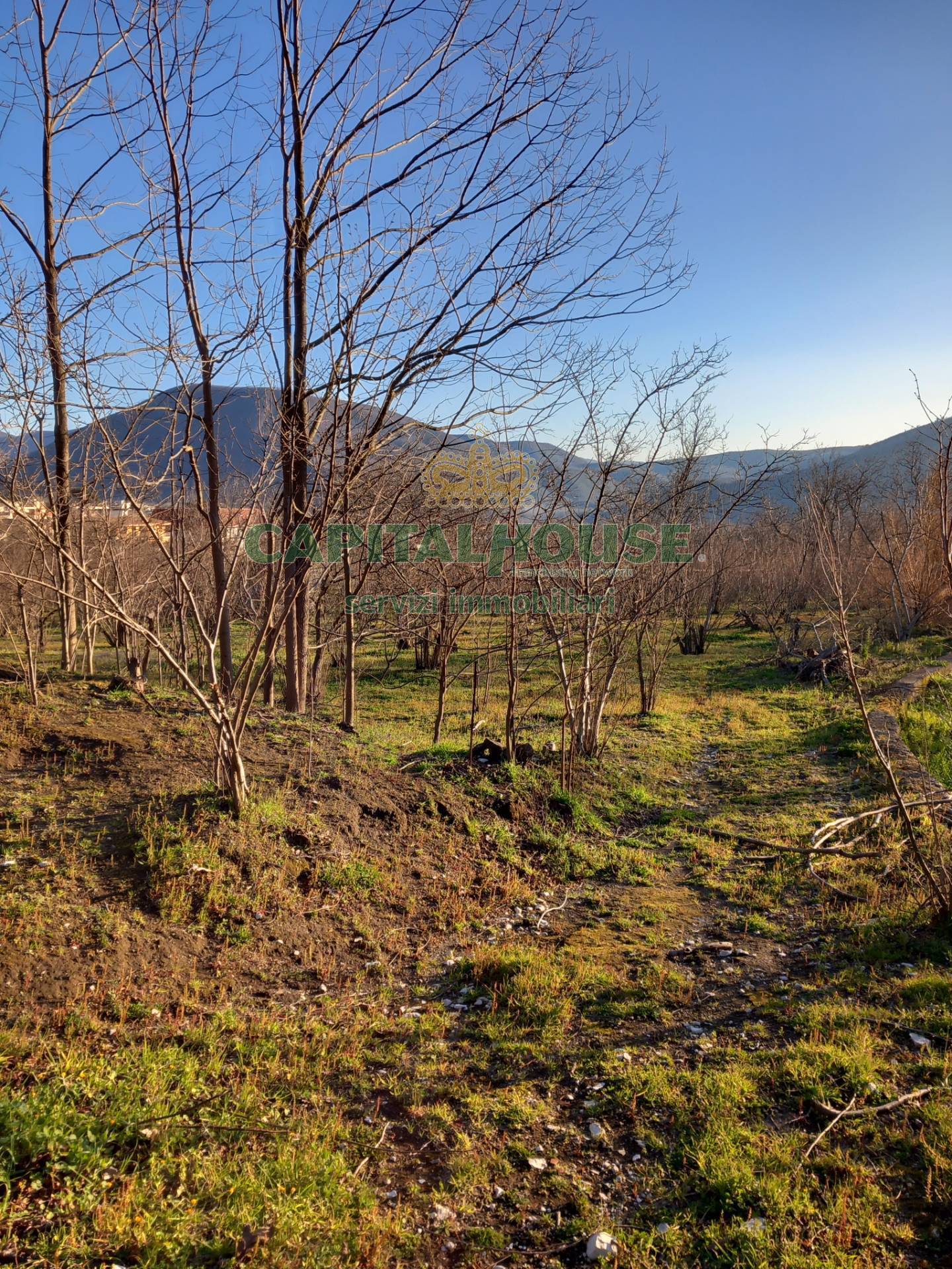 Terreno agricolo - Rudere in vendita a Sirignano