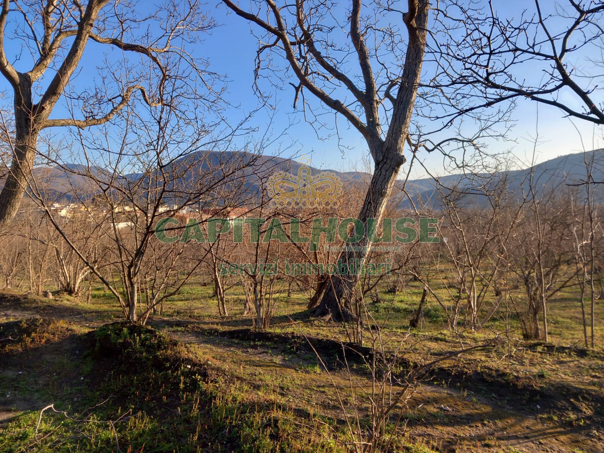 Terreno agricolo - Rudere in vendita a Sirignano
