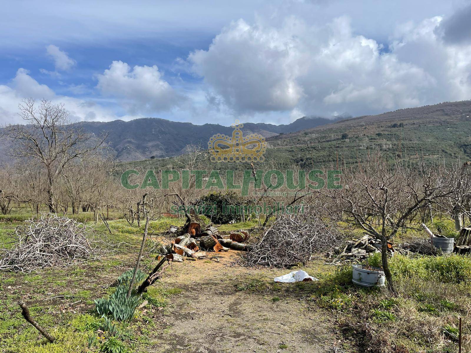Terreno pianeggiante in vendita a Avella