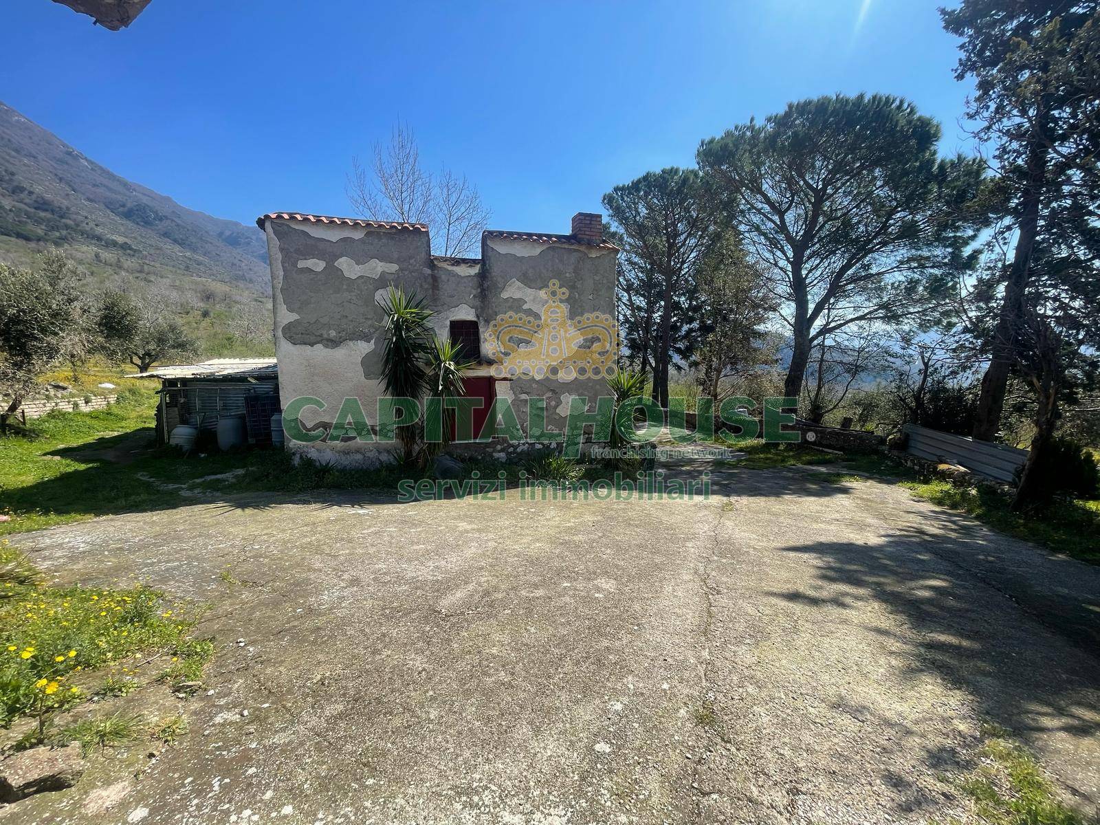 Terreno agricolo - Rudere in vendita a Avella