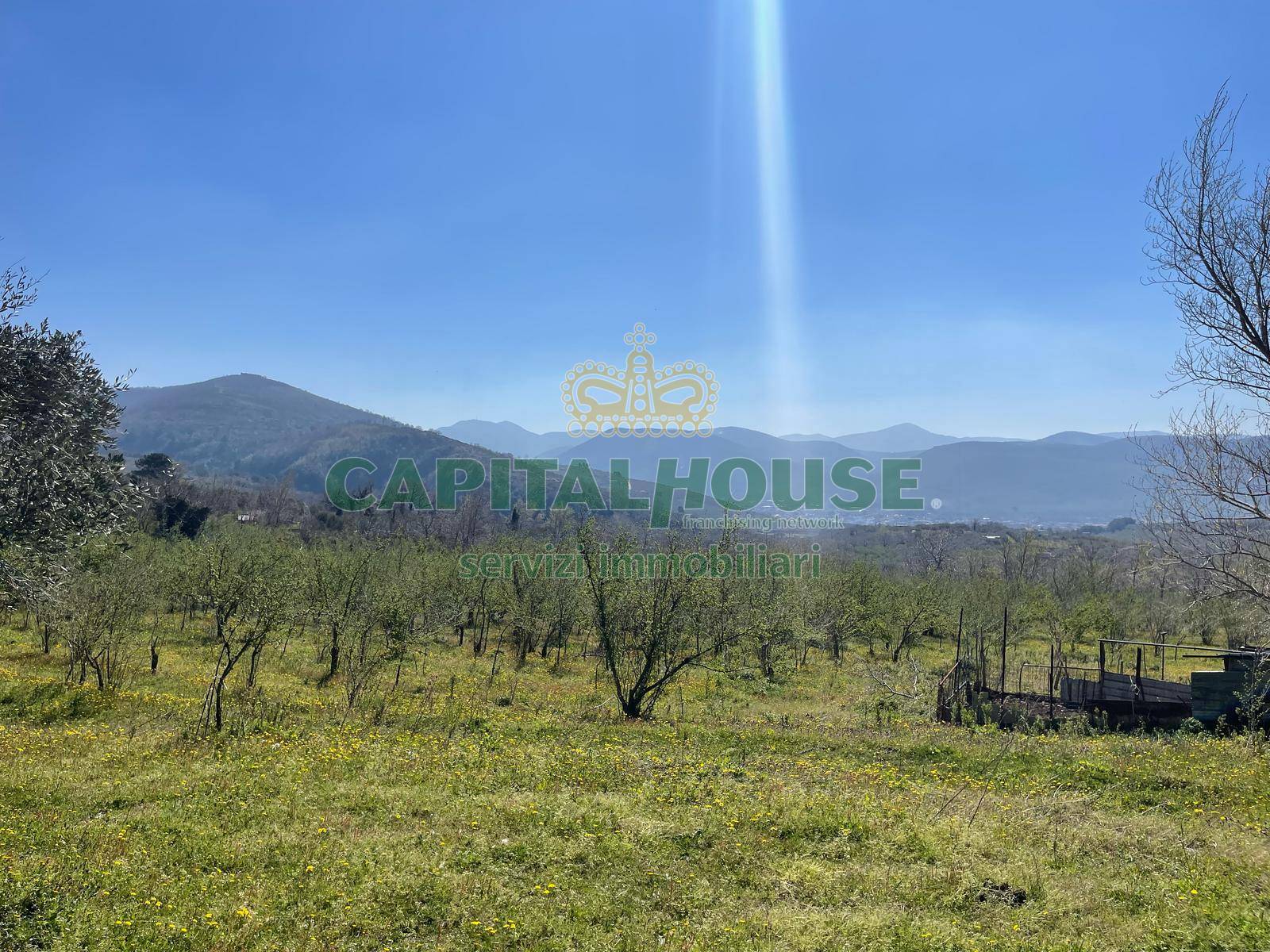 Terreno agricolo - Rudere in vendita a Avella