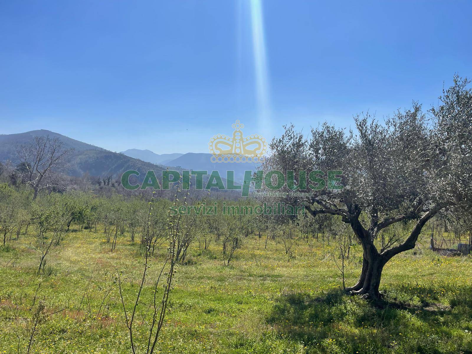 Terreno agricolo - Rudere in vendita a Avella