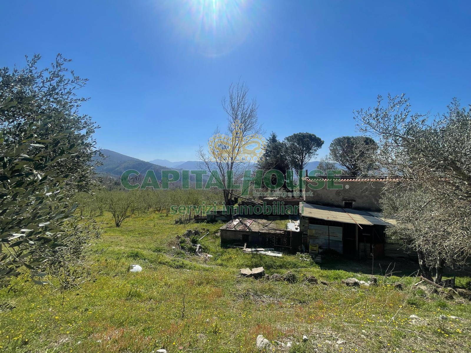 Terreno agricolo - Rudere in vendita a Avella