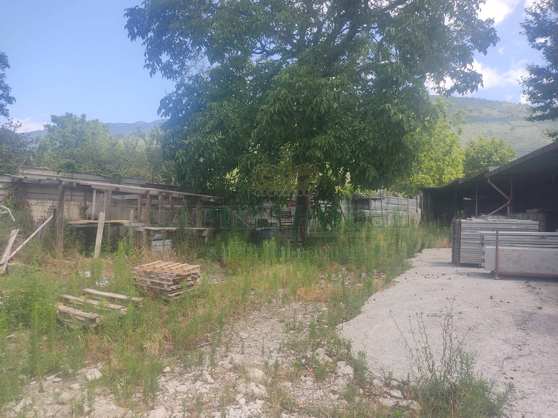 Terreno agricolo in vendita a Sirignano