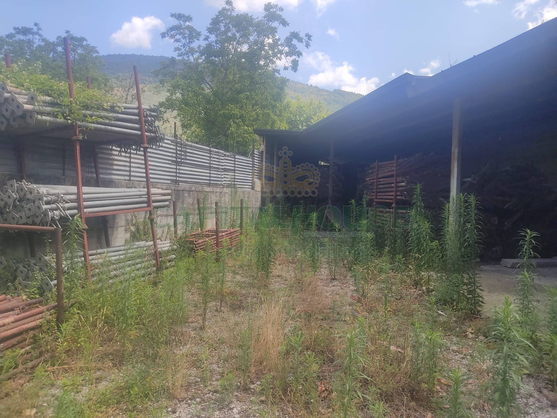 Terreno agricolo in vendita a Sirignano