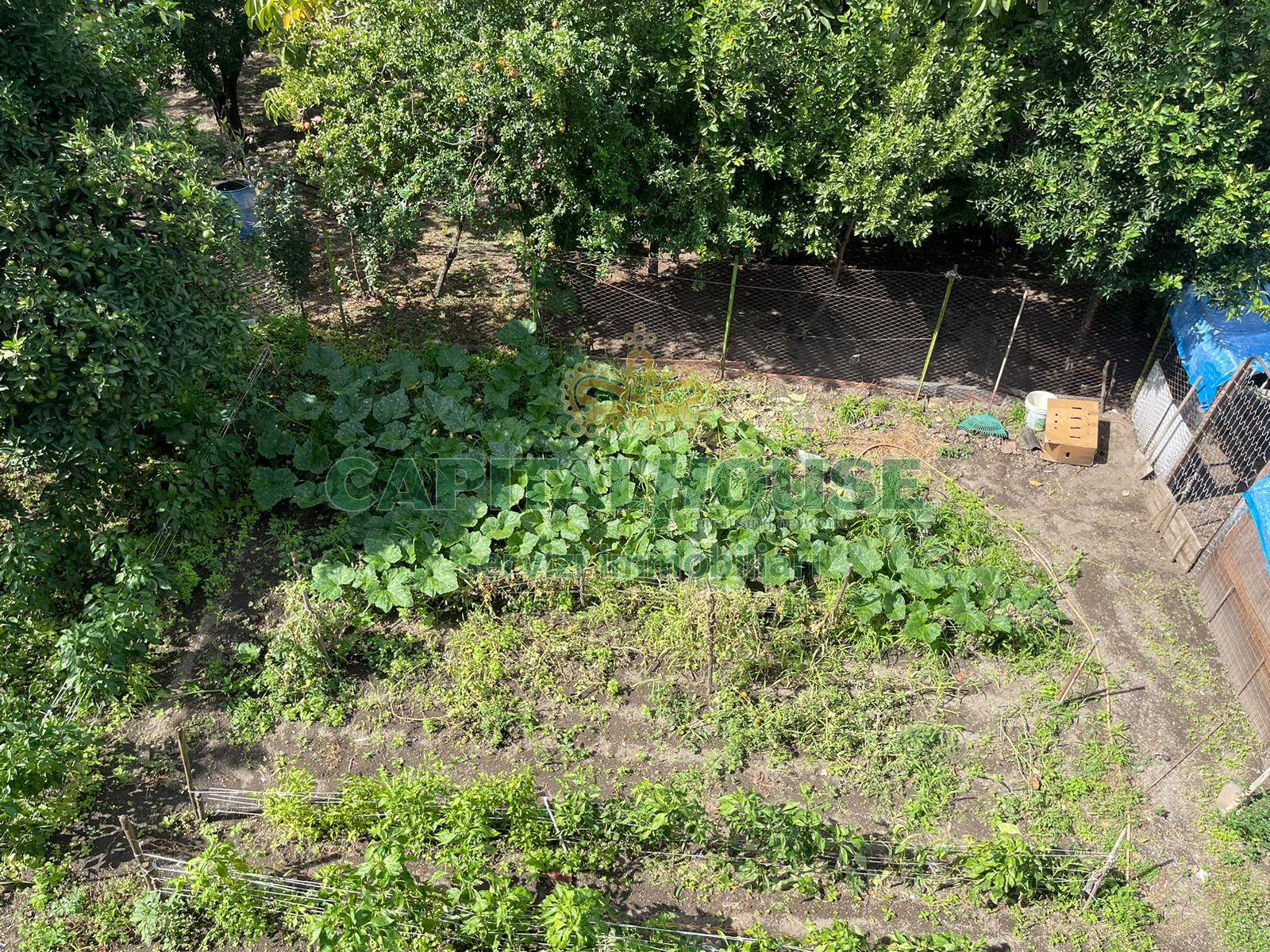 Indipendente in vendita a Avella